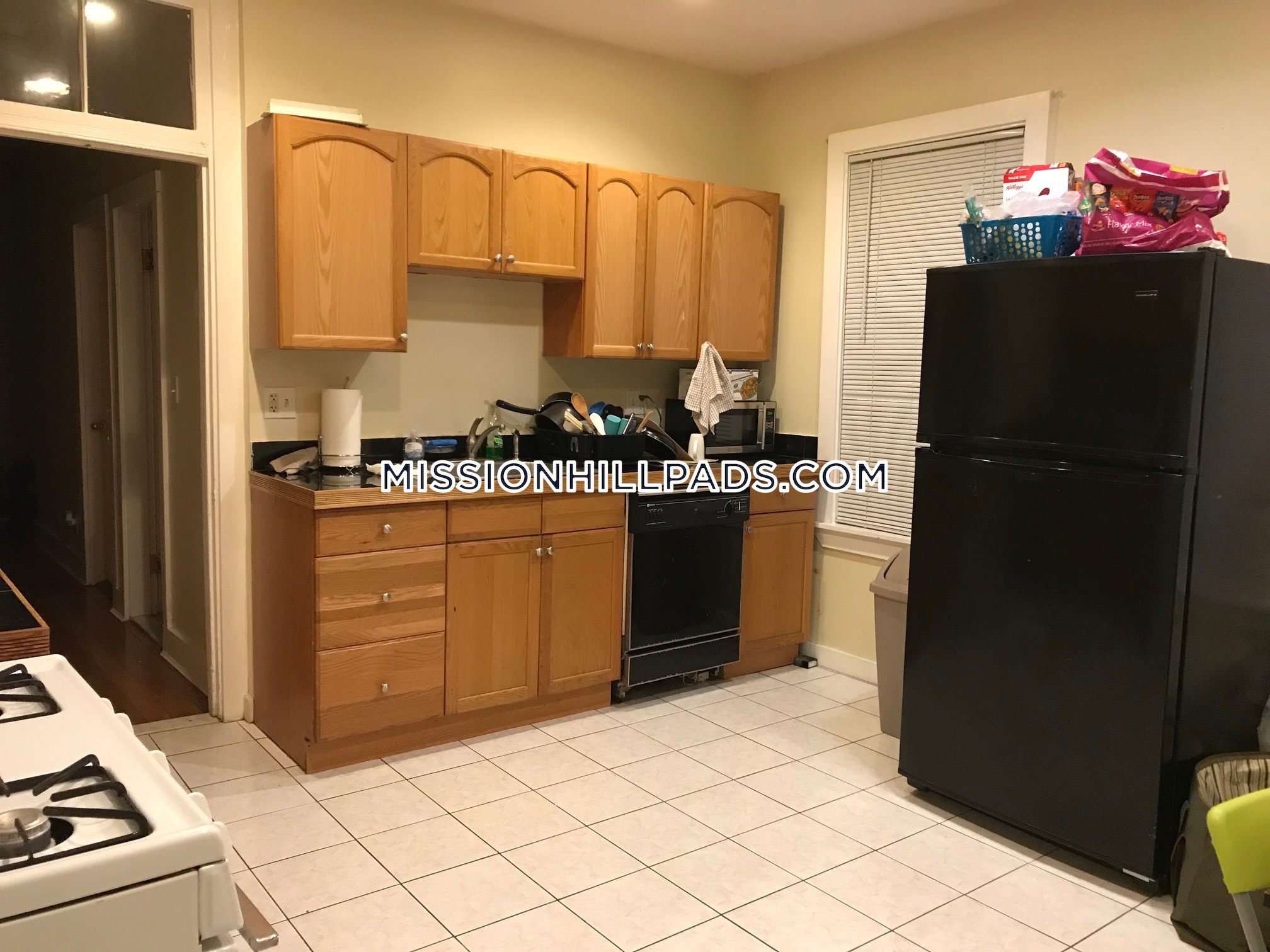 21 Bucknam St, Mission Hill