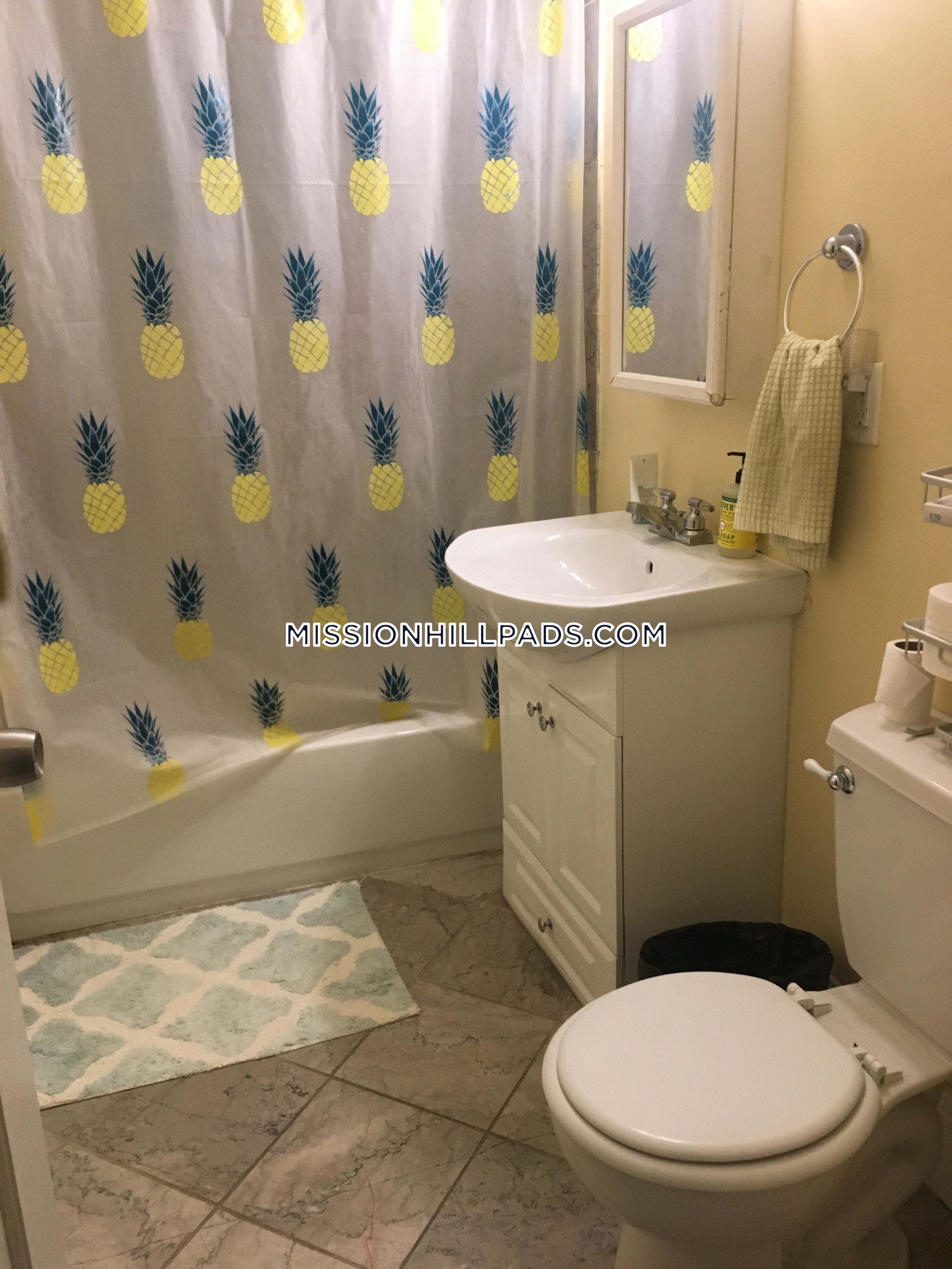 19 Parker Hill Ave, Mission Hill