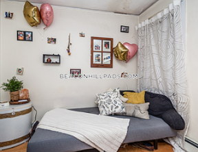 94 West Cedar St, Beacon Hill