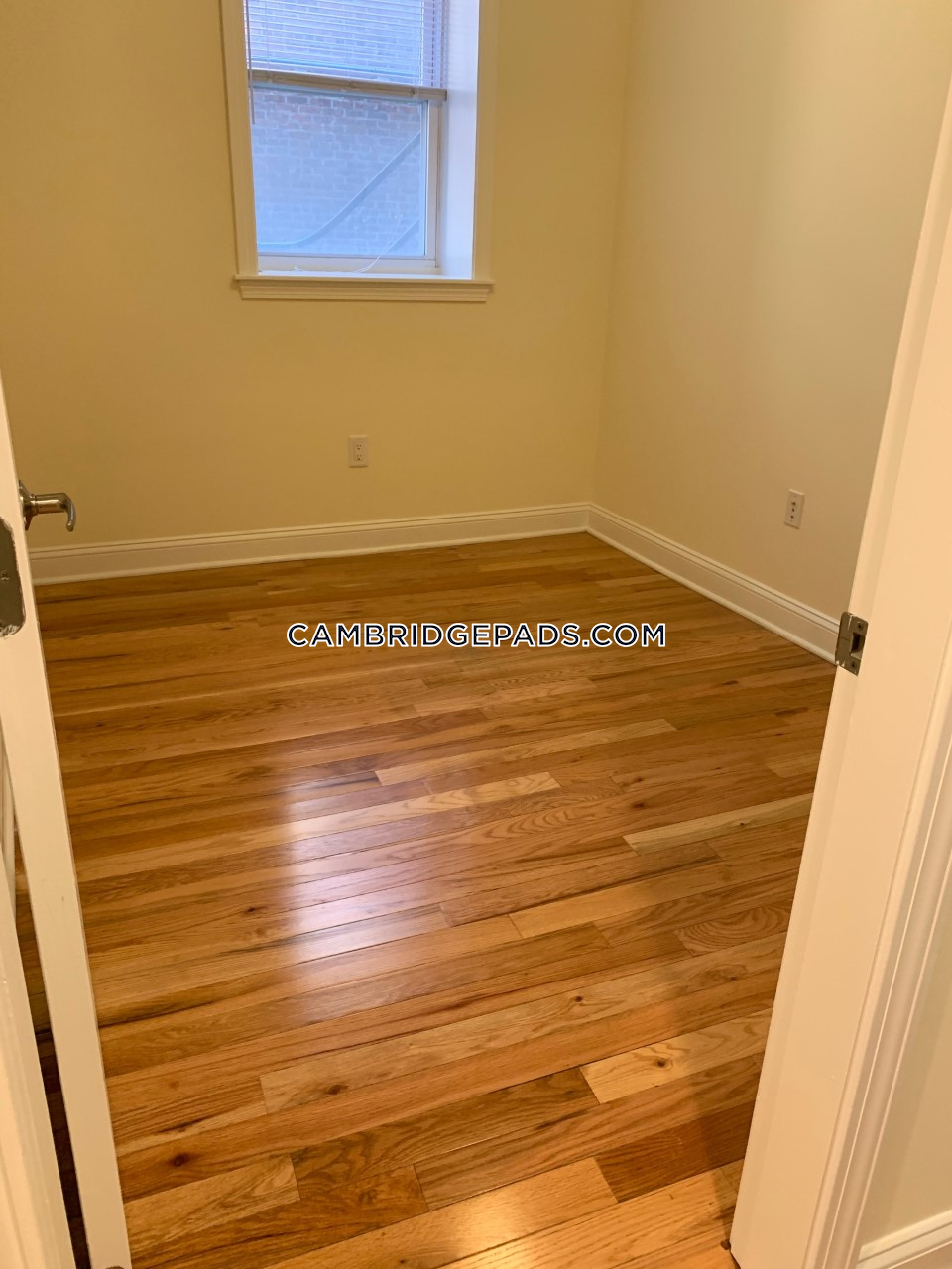 3 Chauncy St, Harvard Square