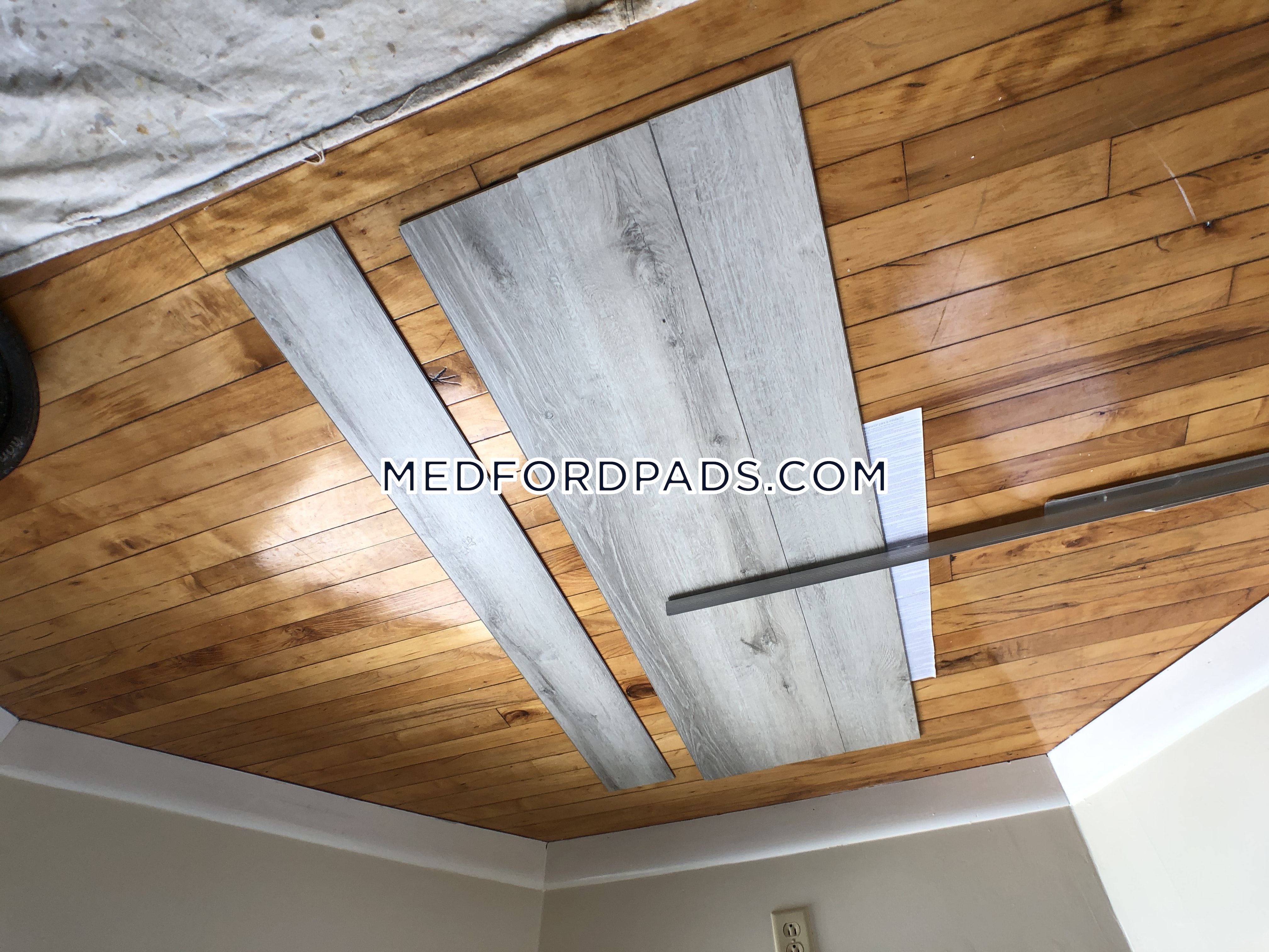 77 Lynman Ave, Tufts University