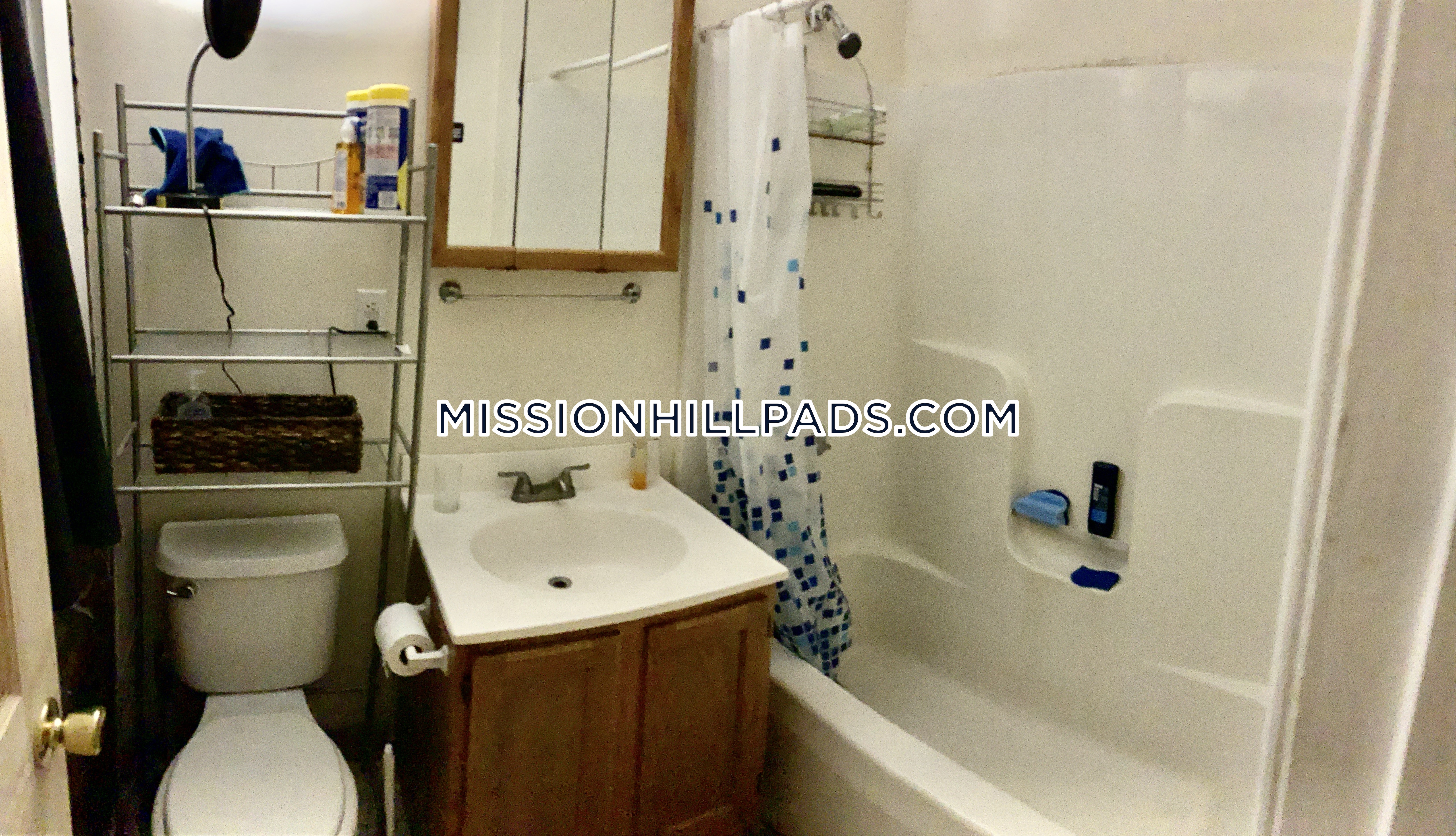 733.2 Parker St, Mission Hill