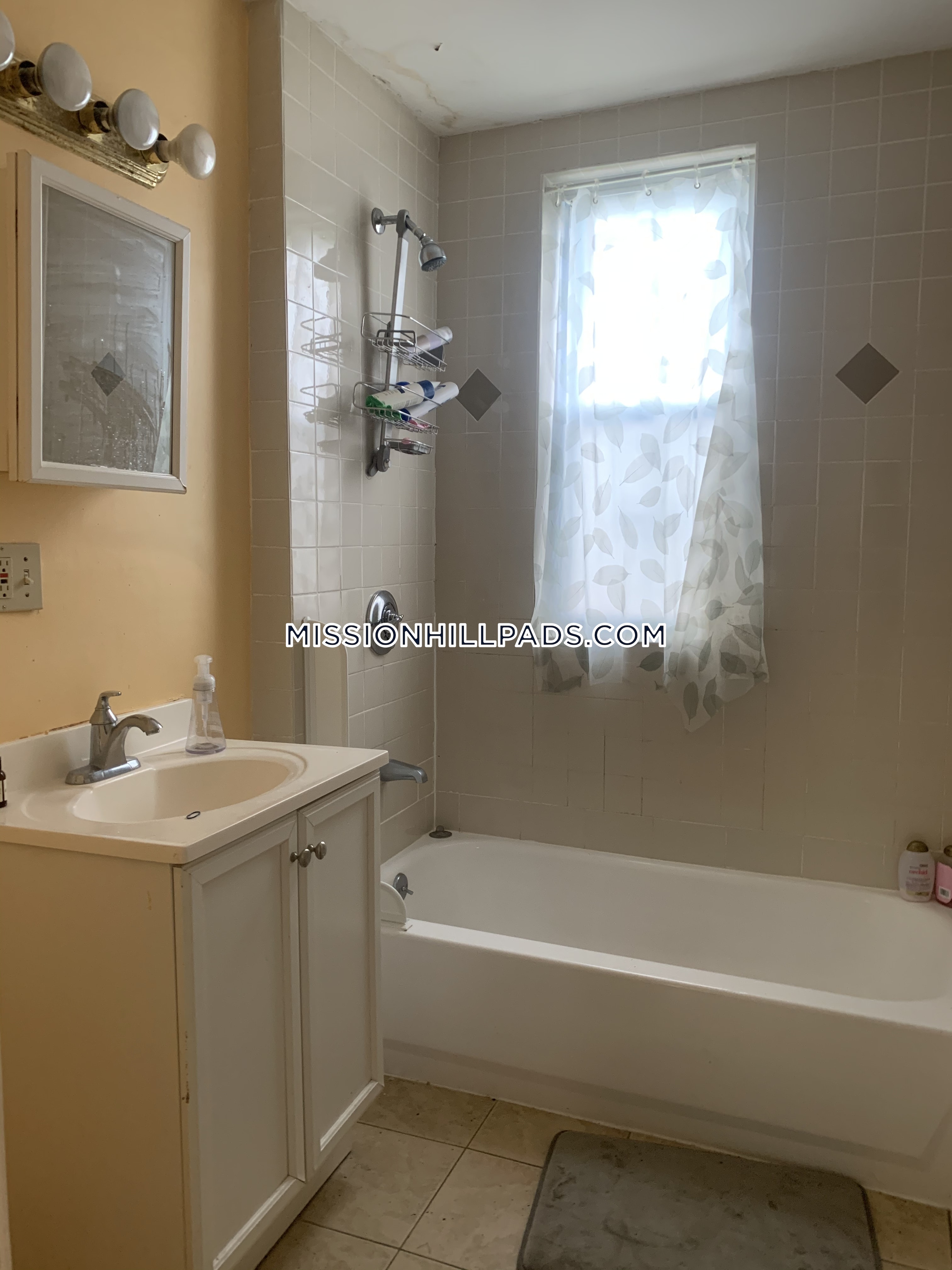 10 Bucknam St, Mission Hill