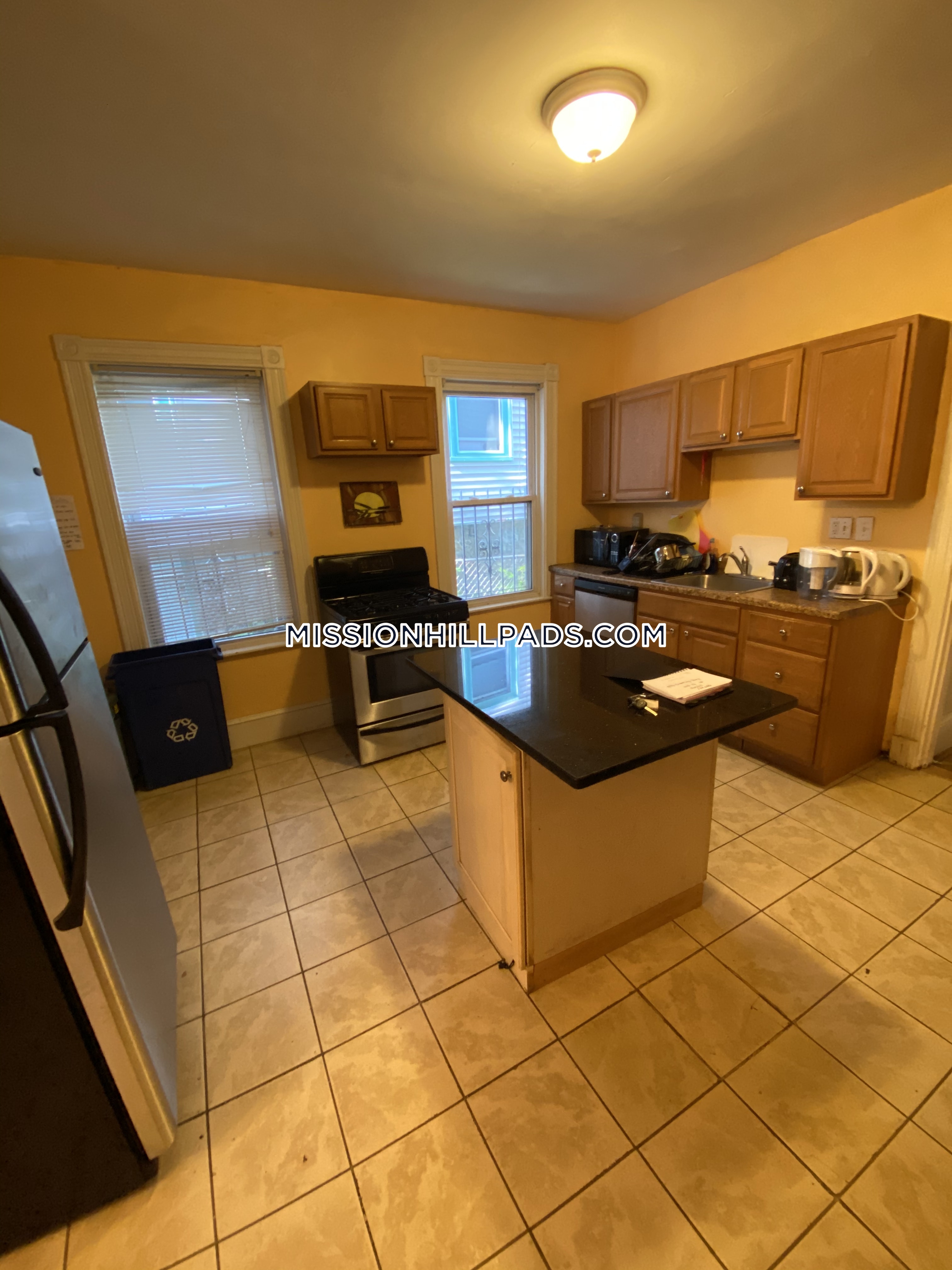 10 Bucknam St, Mission Hill