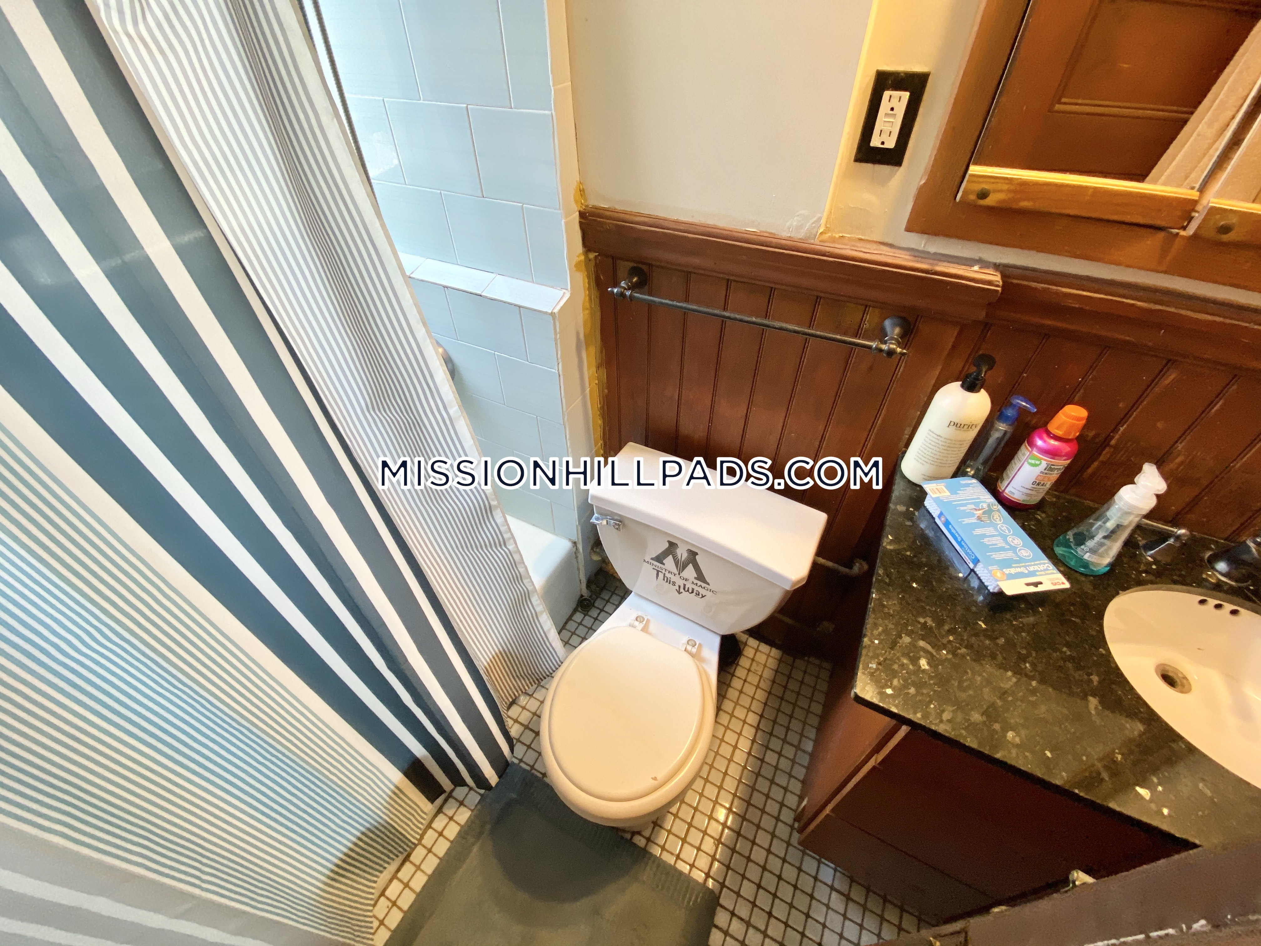 67 Hillside St, Mission Hill