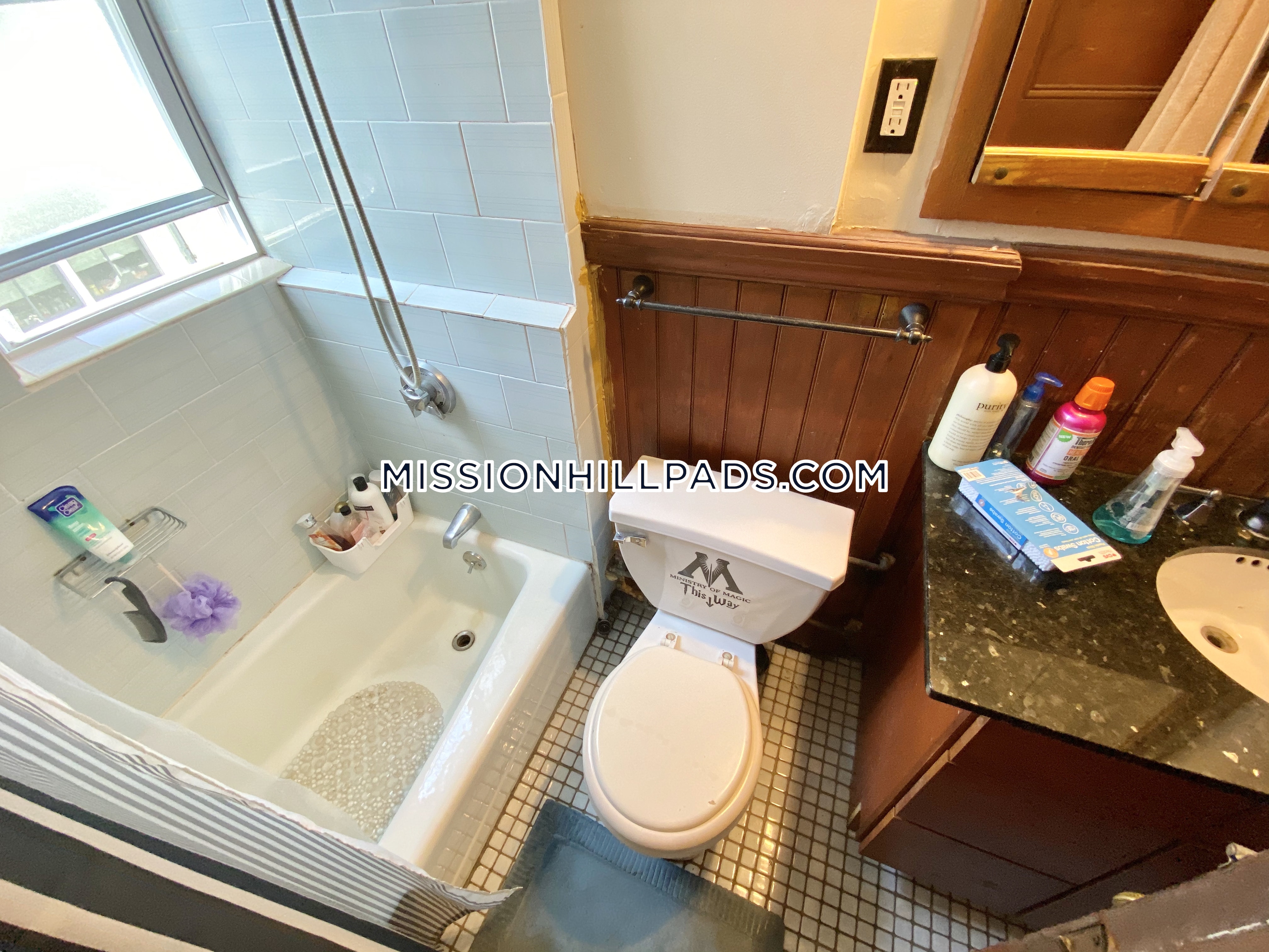 67 Hillside St, Mission Hill