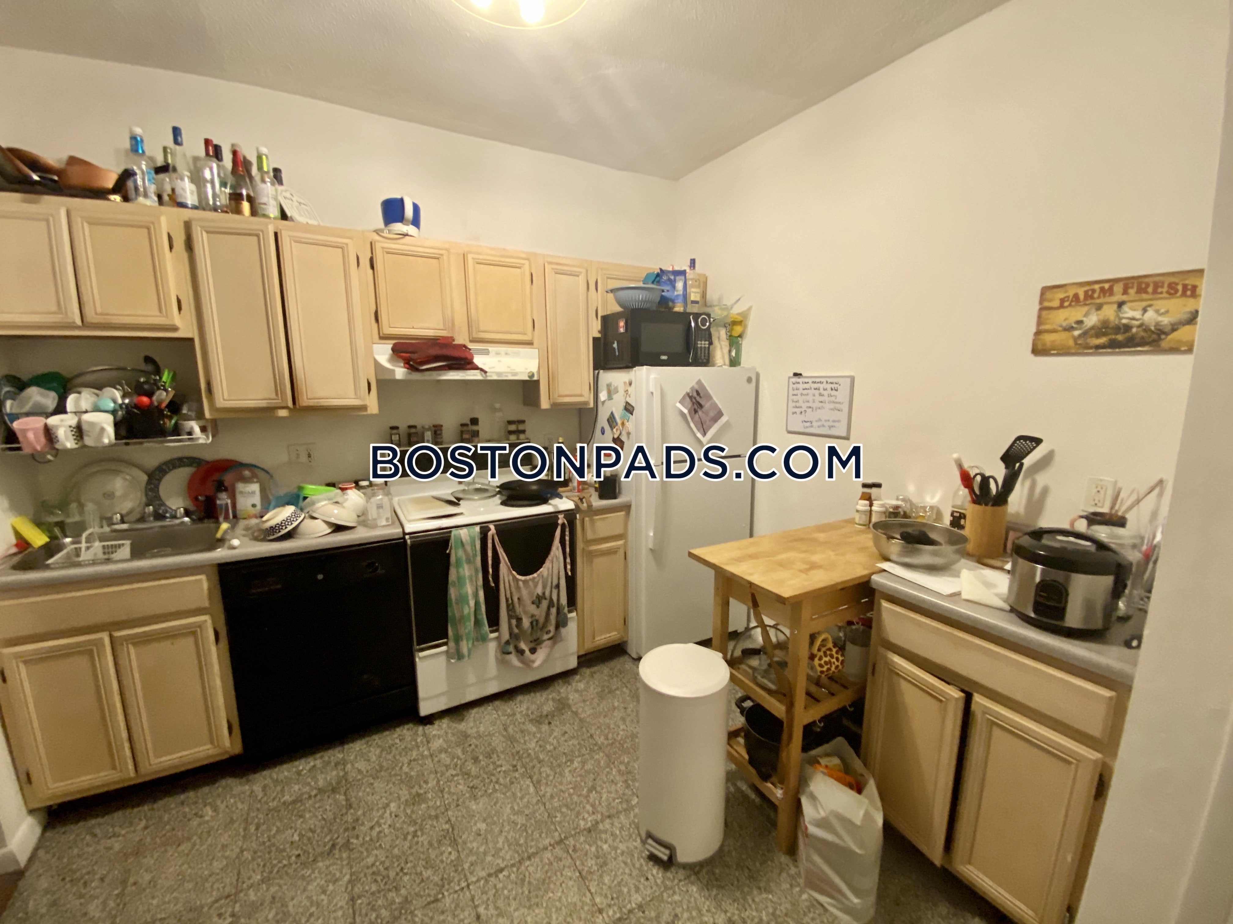 50 Evergreen St, Jamaica Plain