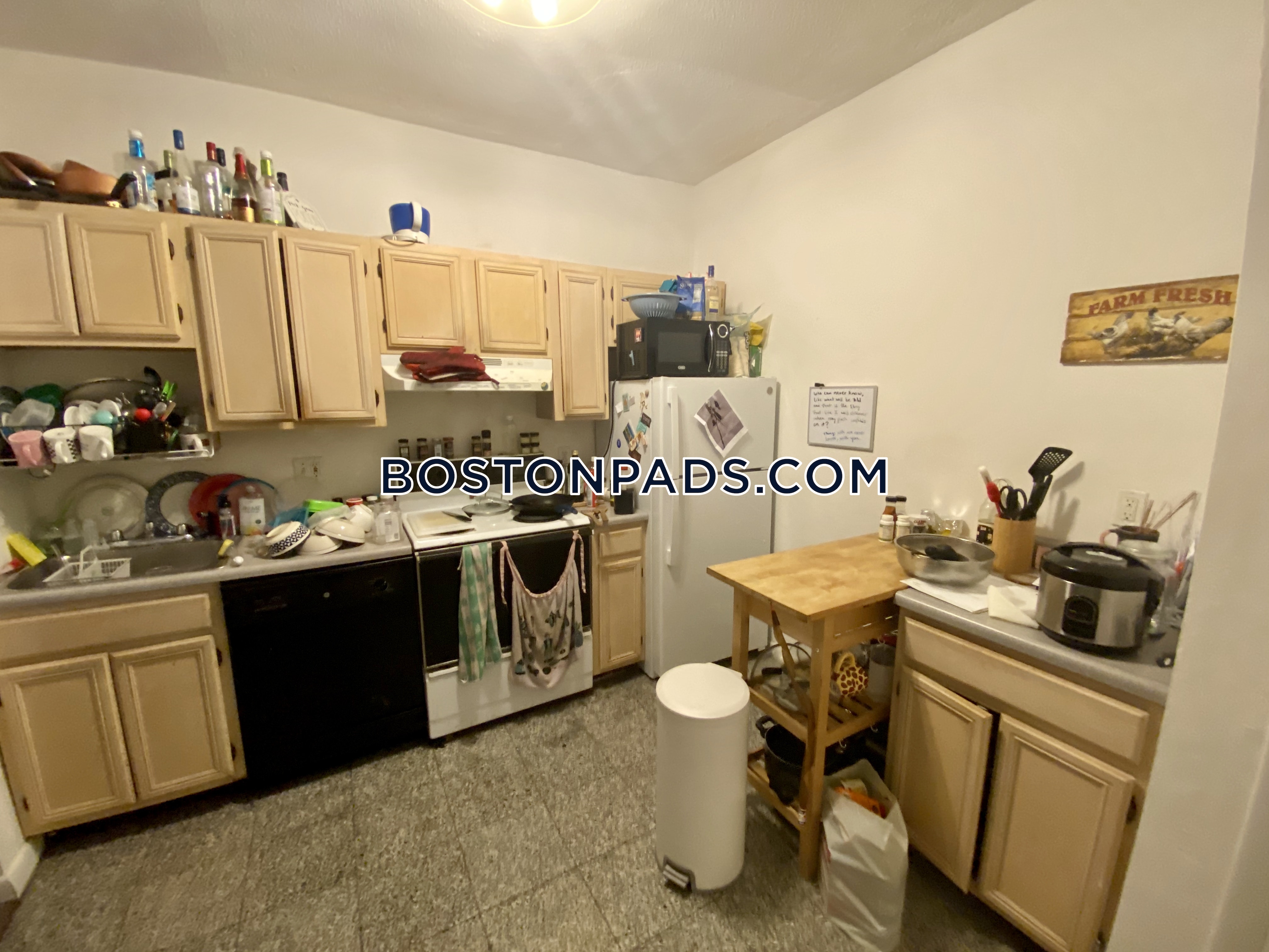 50 Evergreen St, Jamaica Plain