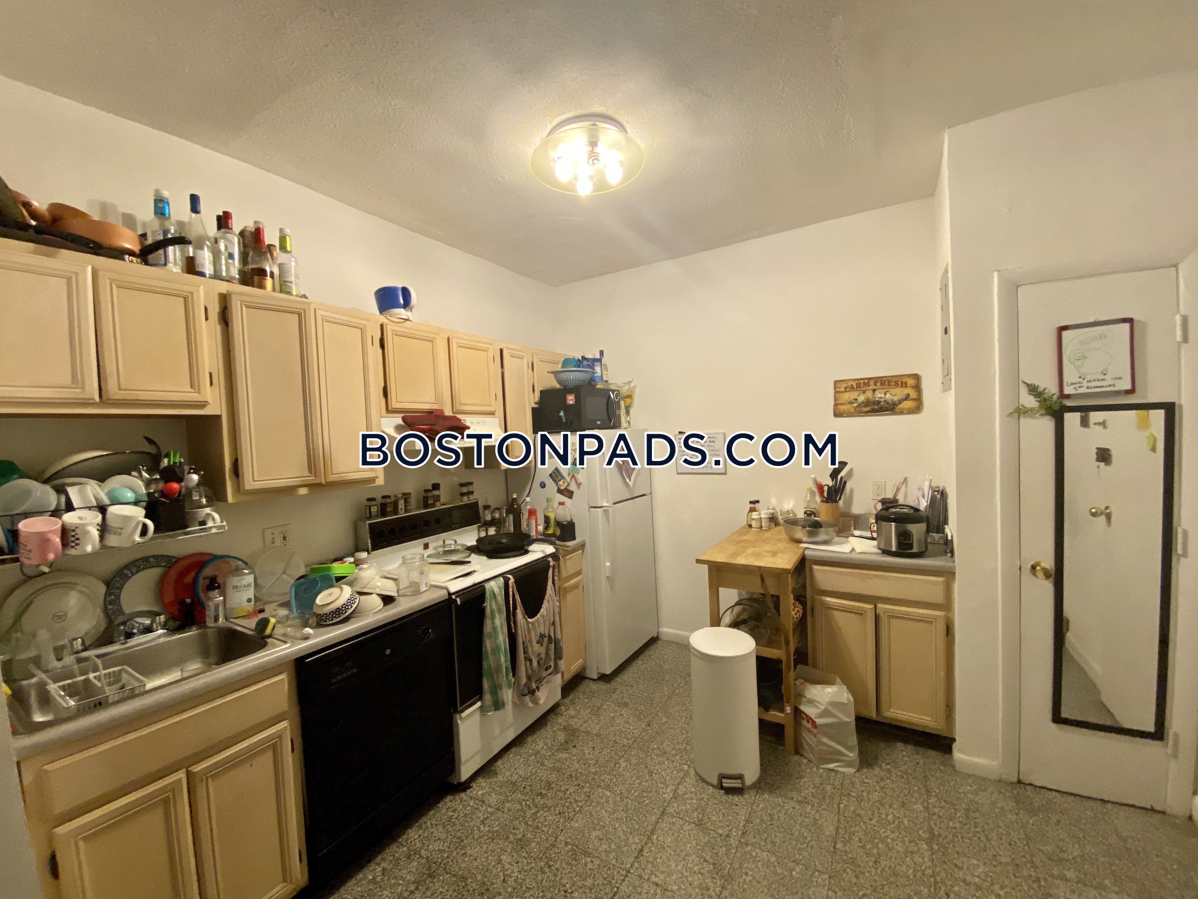 50 Evergreen St, Jamaica Plain