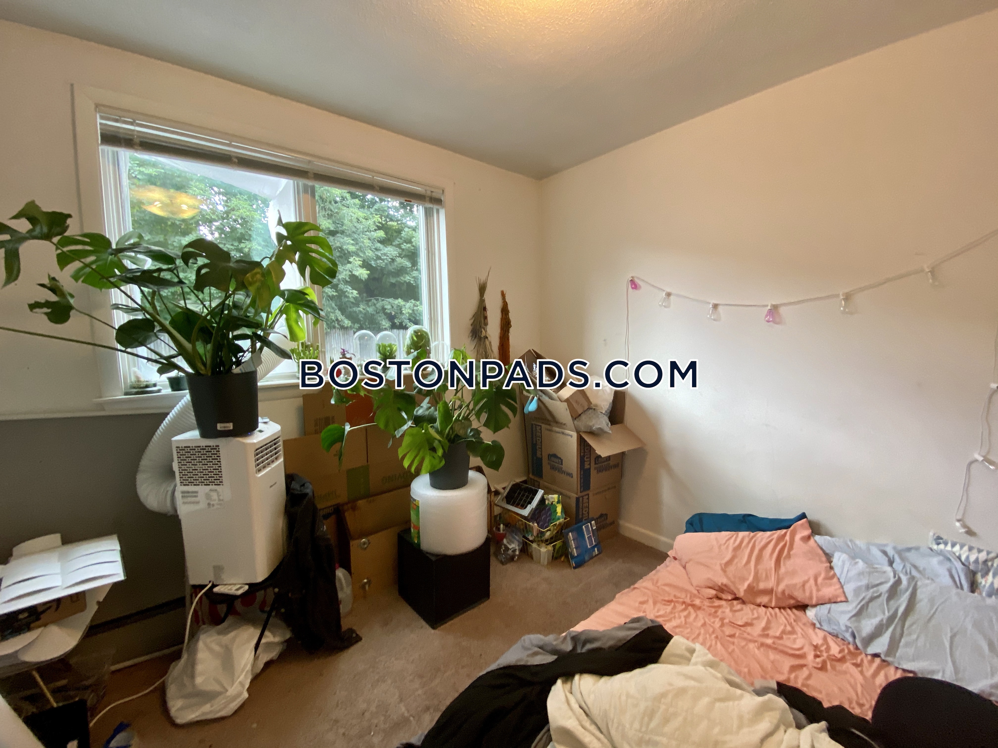 50 Evergreen St, Jamaica Plain