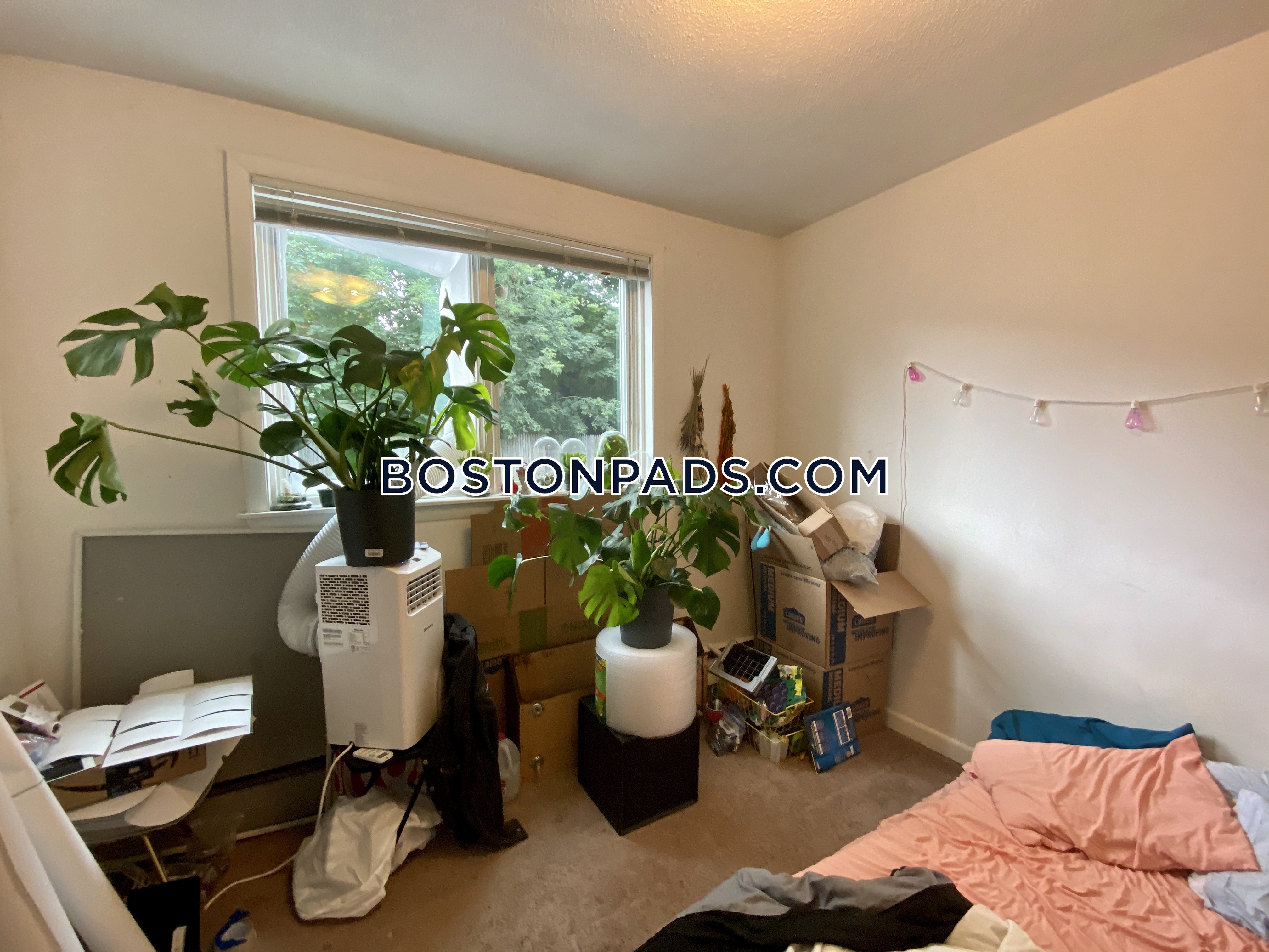 50 Evergreen St, Jamaica Plain