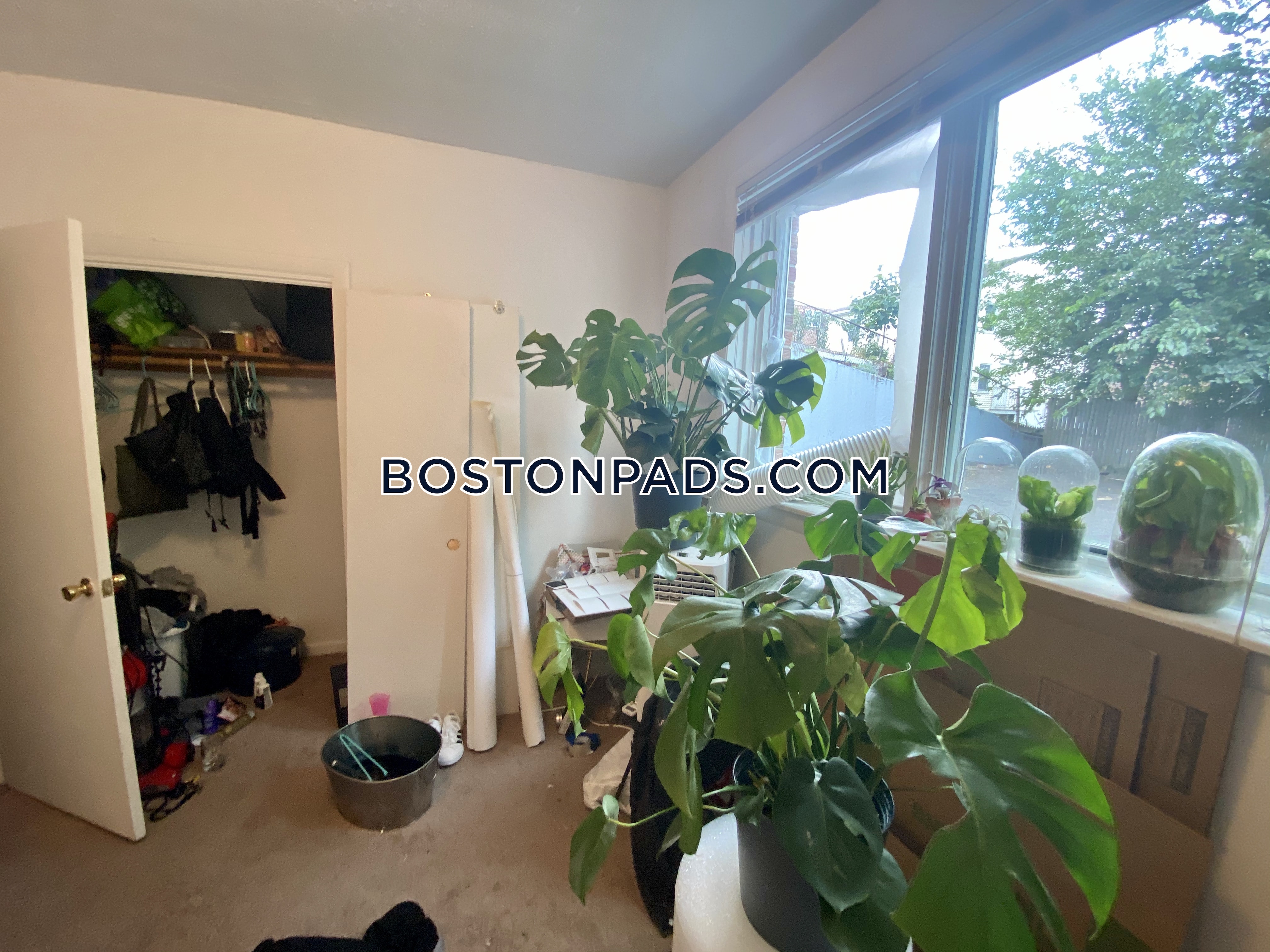 50 Evergreen St, Jamaica Plain