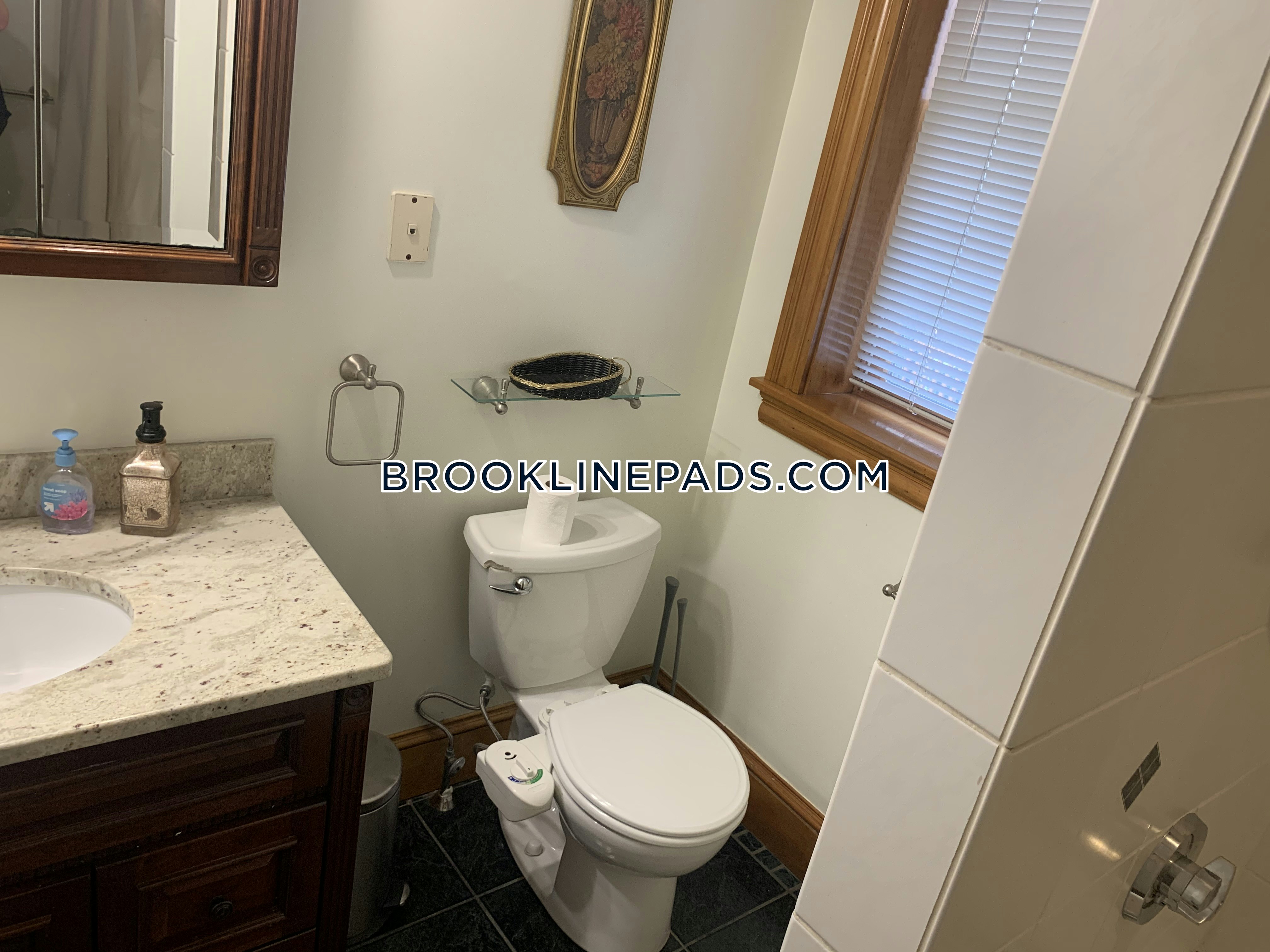 90 Browne St, North Brookline