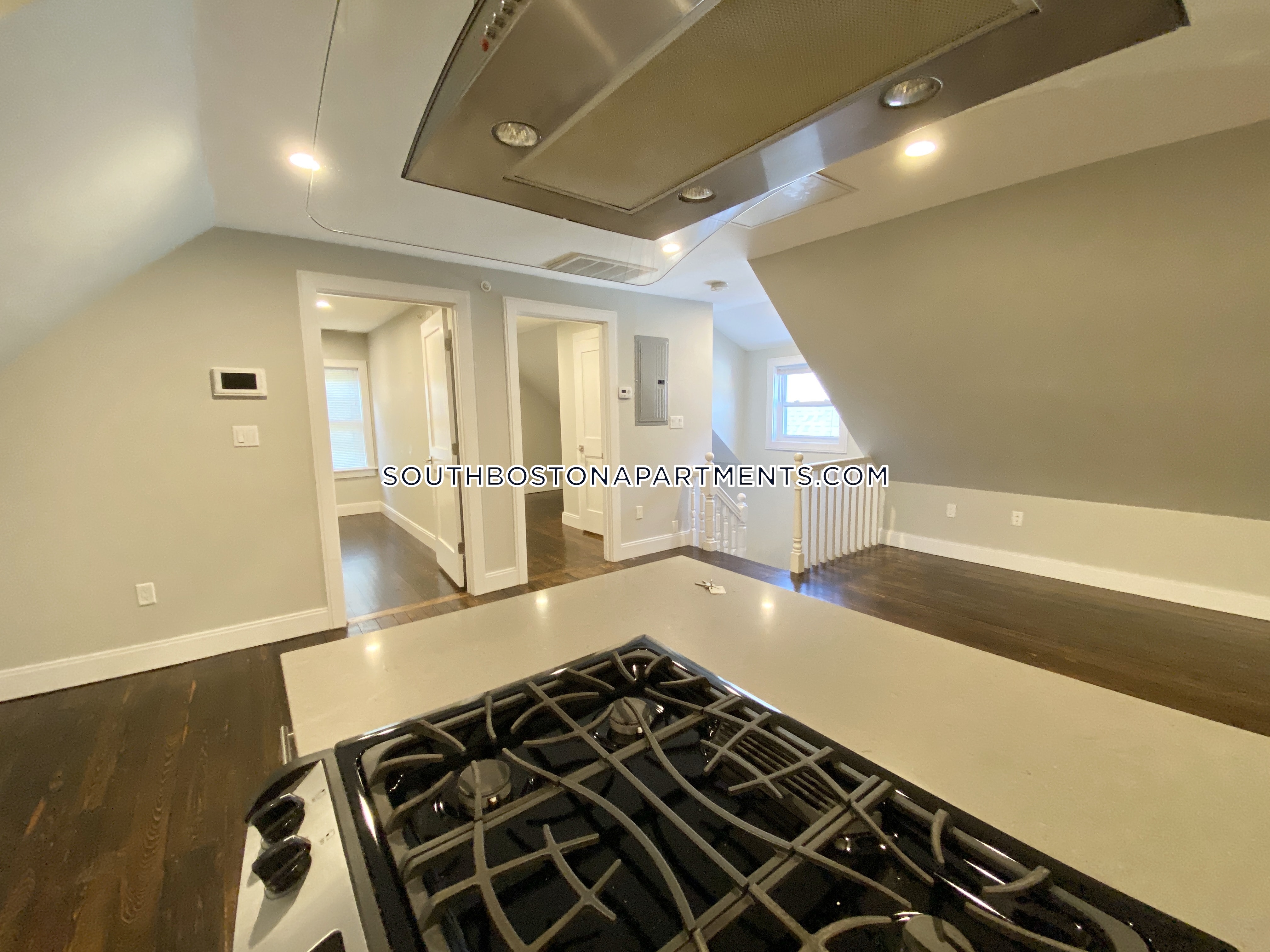 19.1 Dorset St, Dorchester