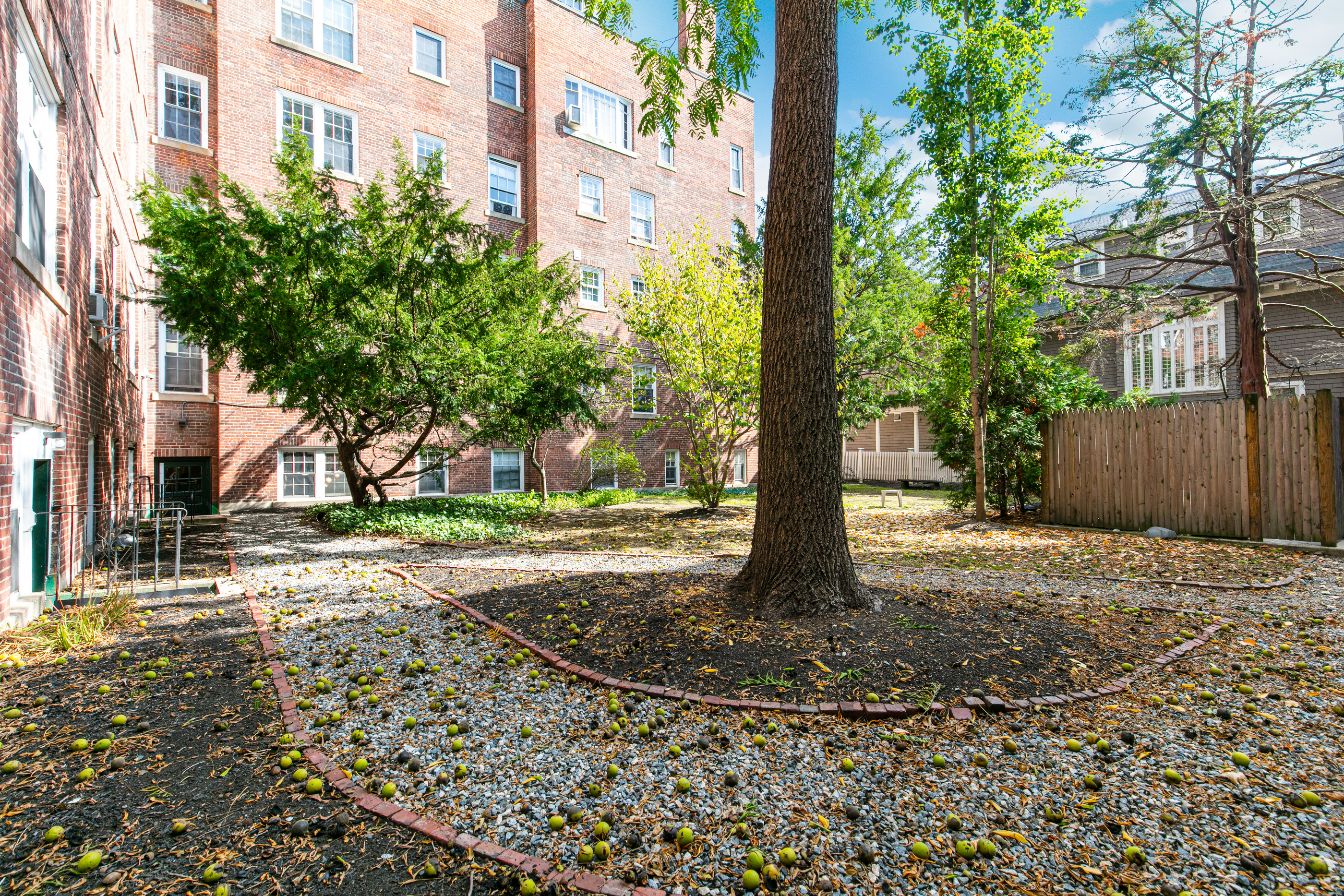 16 Chauncy St, Harvard Square