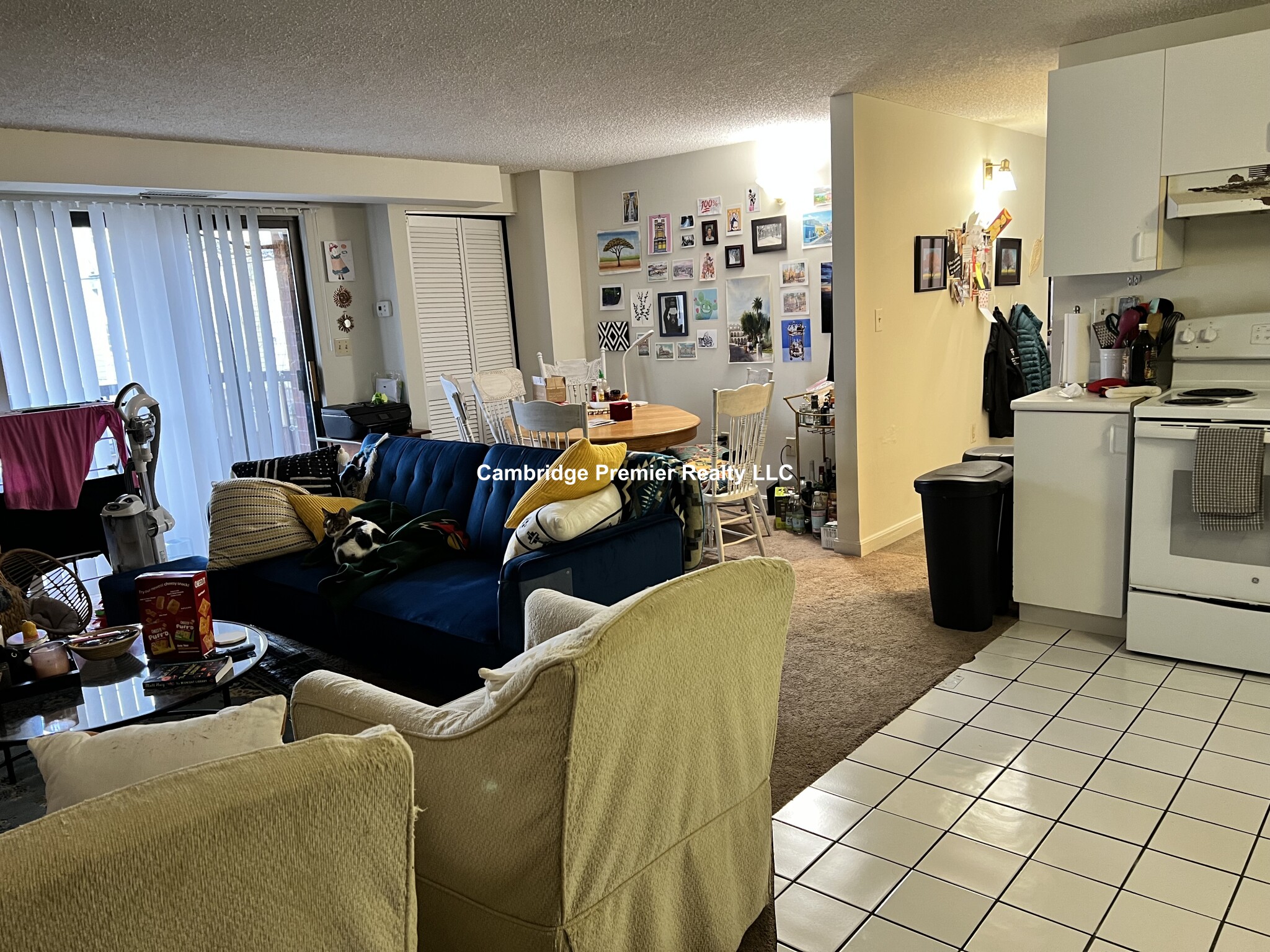 16 Elmer St, Cambridgeport