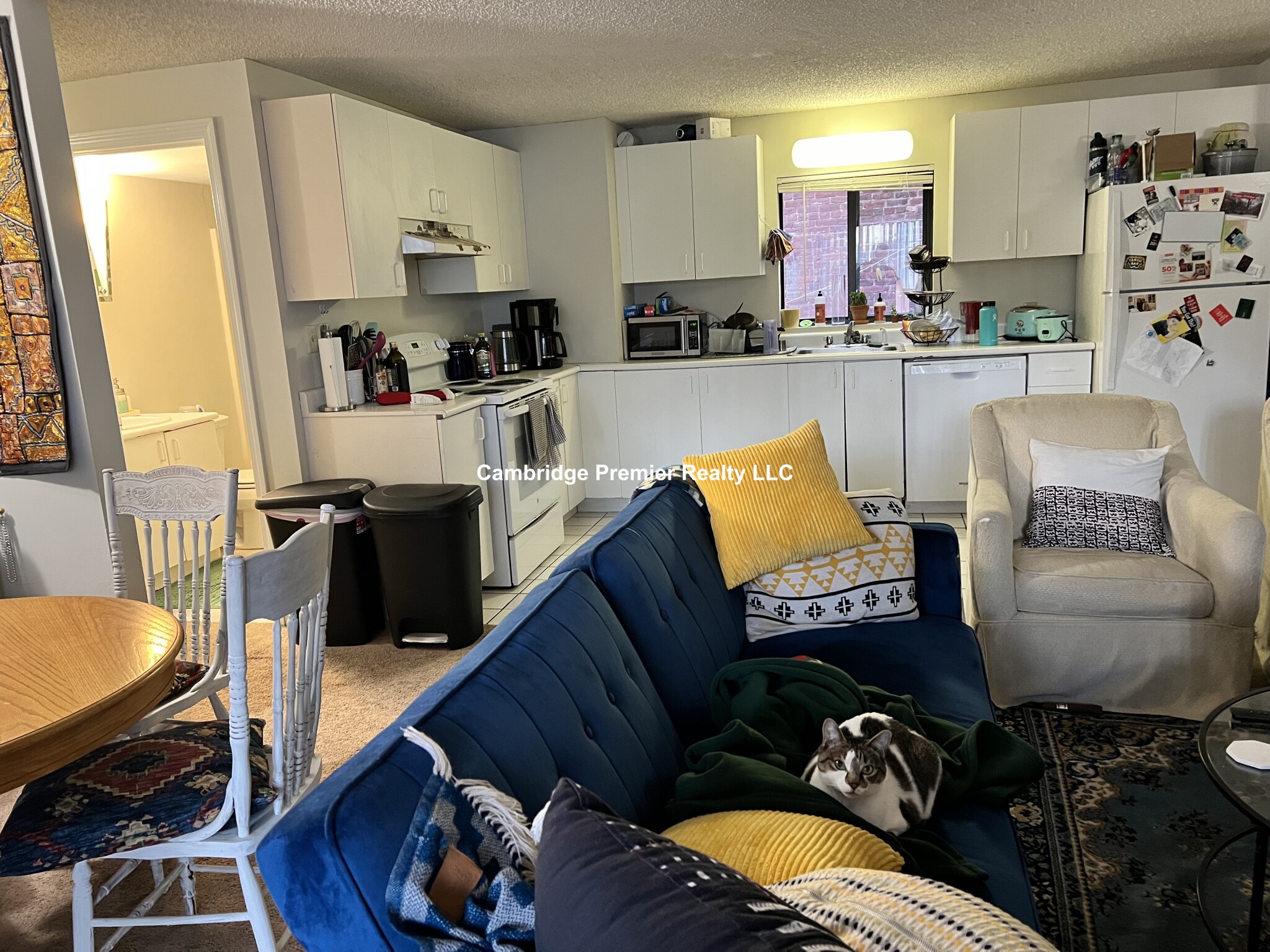 16 Elmer St, Cambridgeport