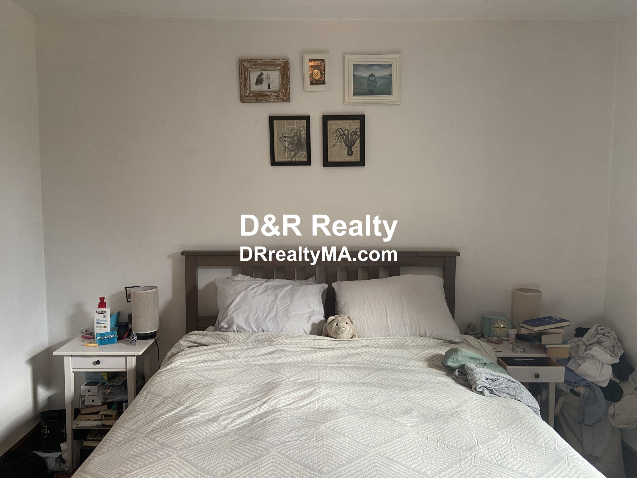 16 Montgomery St, Porter Square