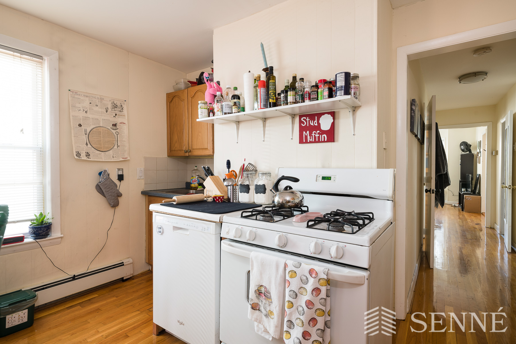 16 Bristol St, Kendall Square