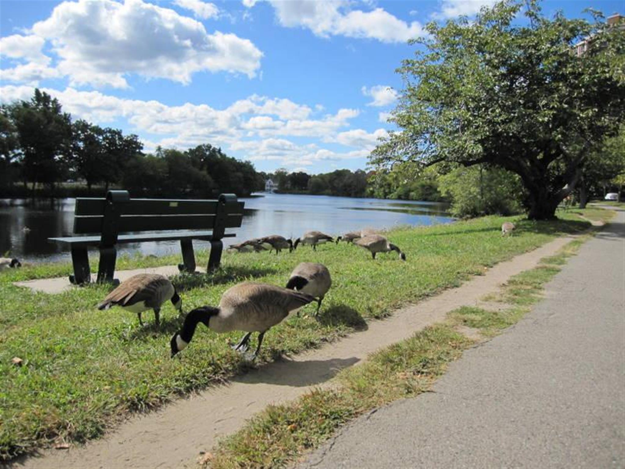 221 Mount Auburn St, Harvard Square