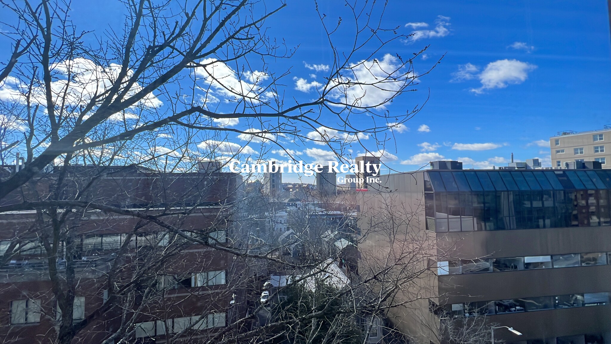 1039 Massachusetts Ave, Harvard Square