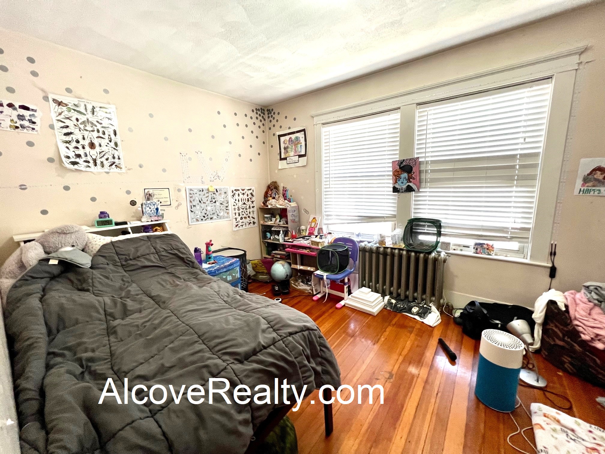 62 Harlow St, Arlington