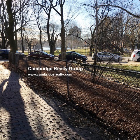 1000 Memorial Dr, Harvard Square