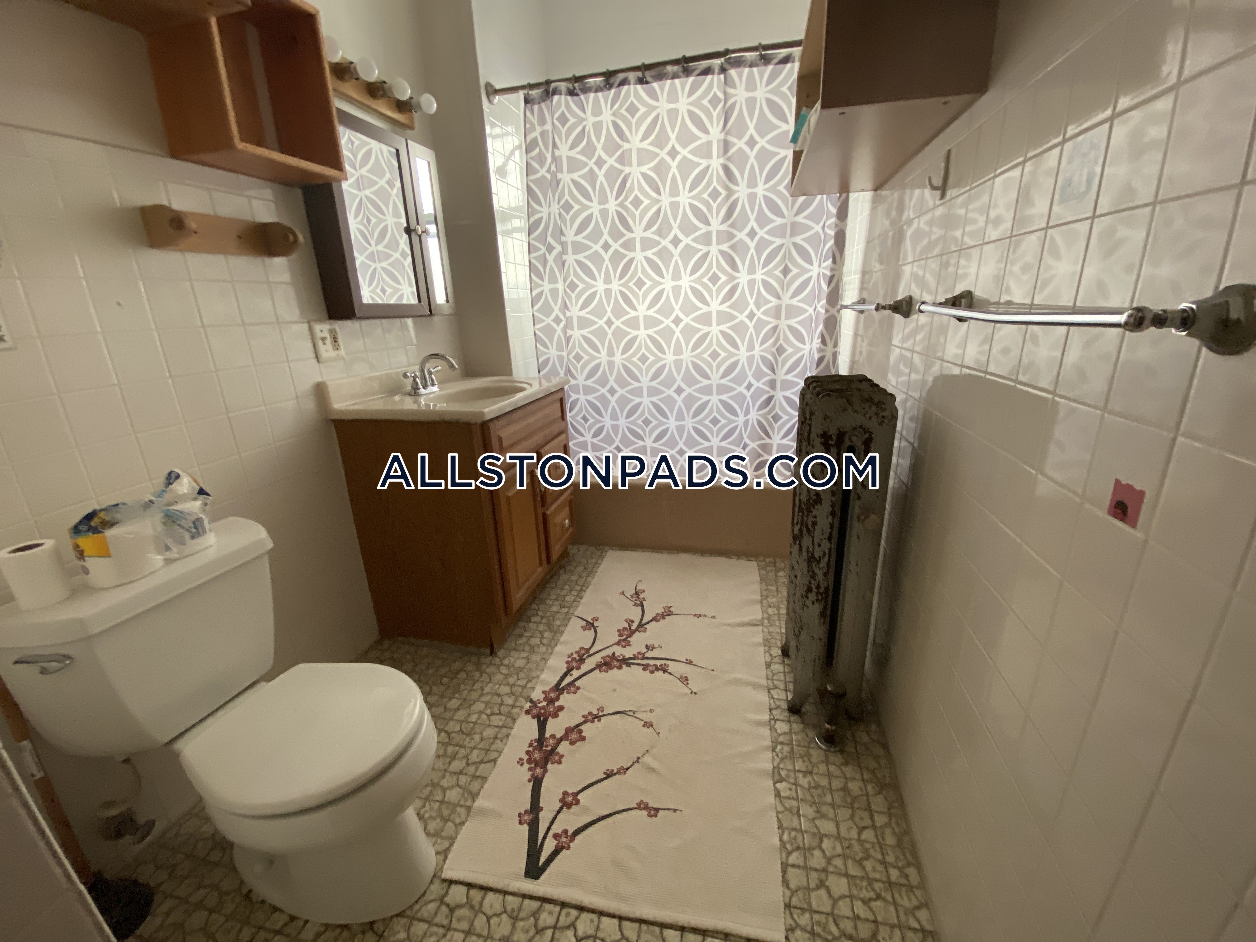 11 Chester St, Allston