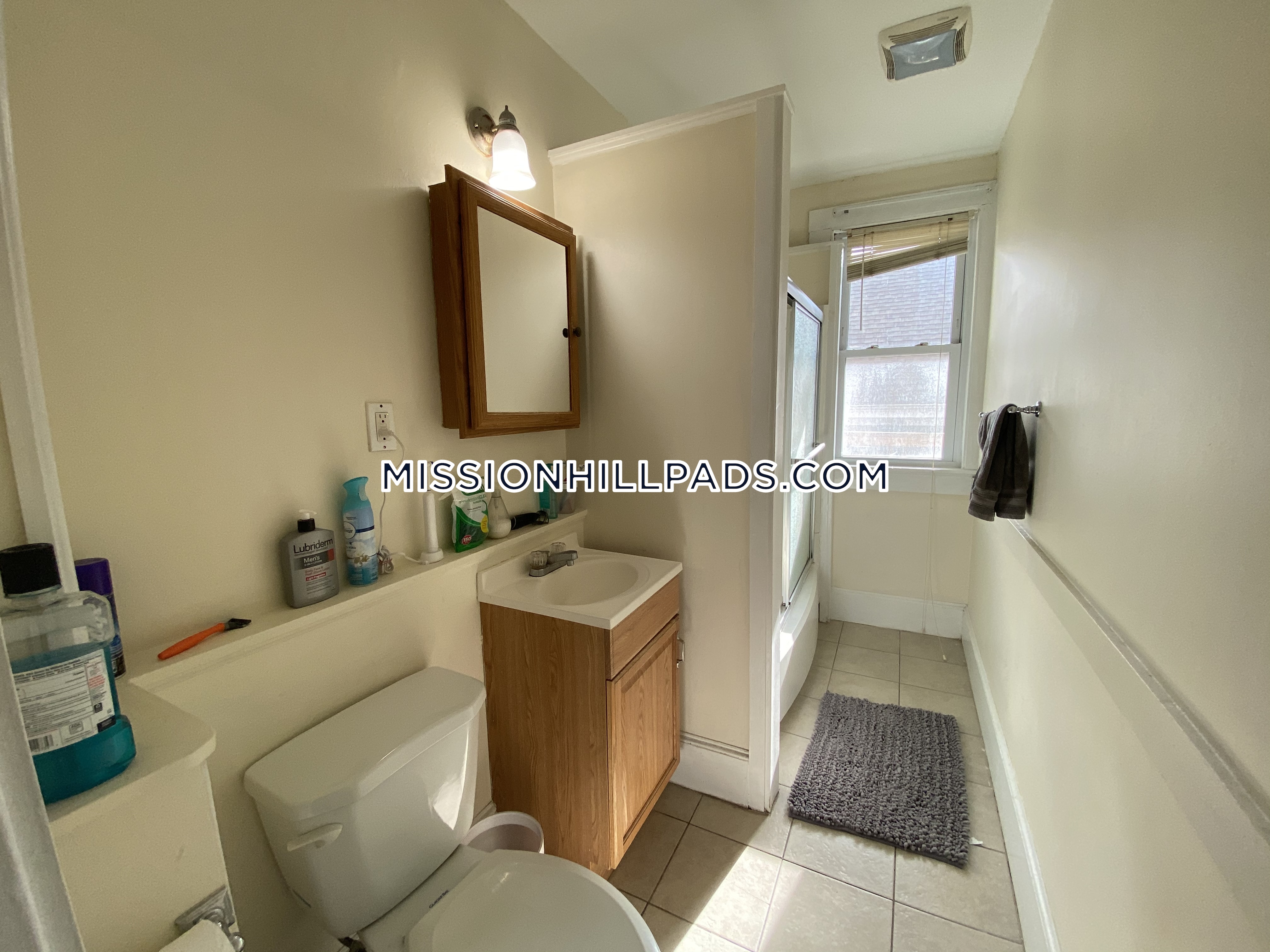 18 Lawn St, Mission Hill