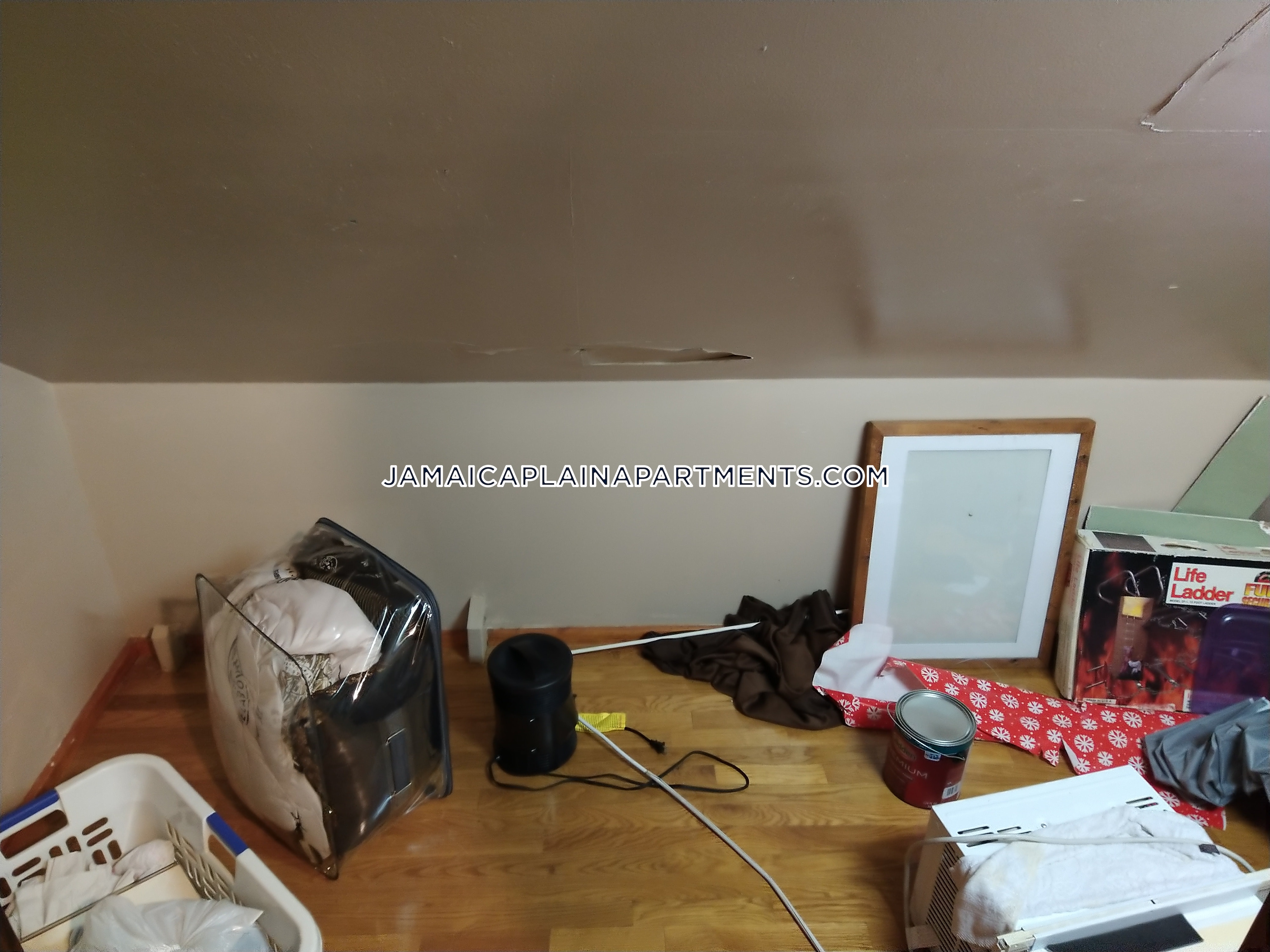 47 Creighton, Jamaica Plain