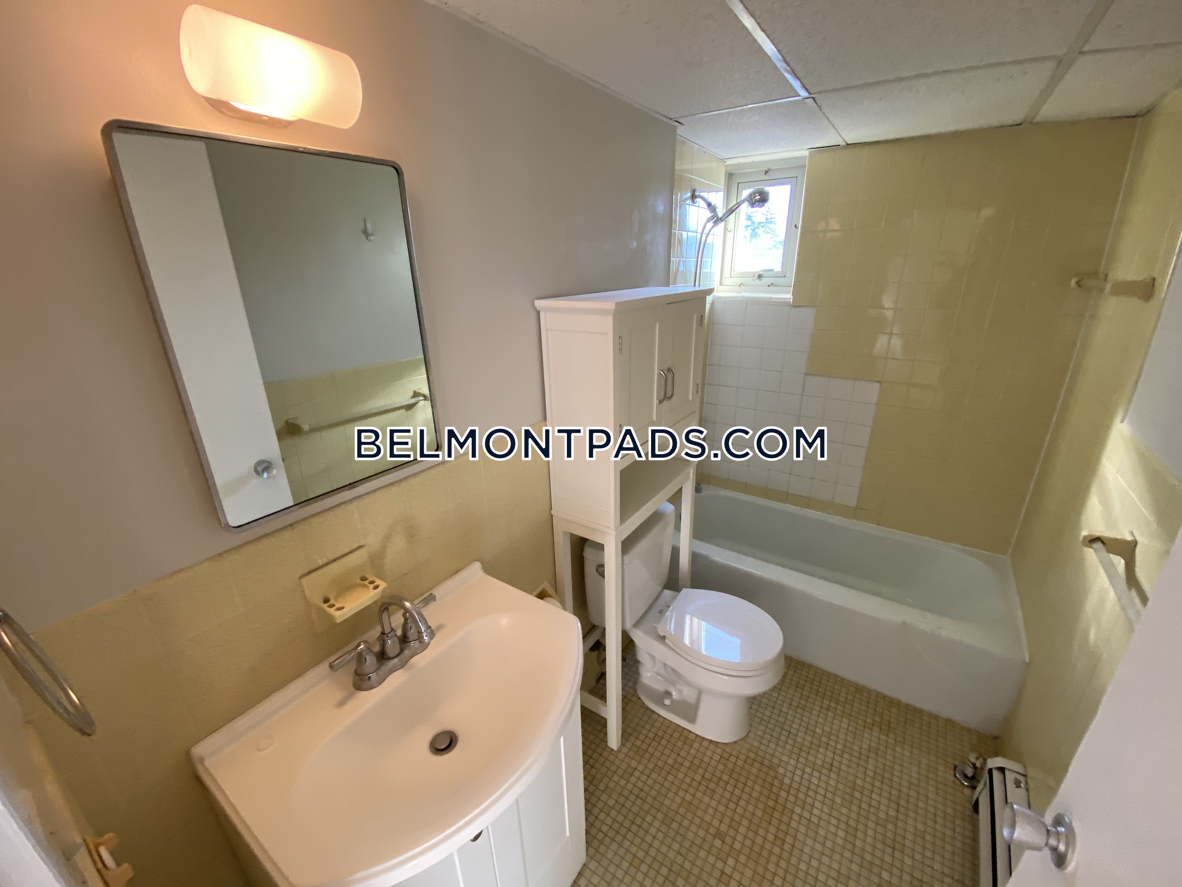 125 Trapelo Rd, Belmont Hill