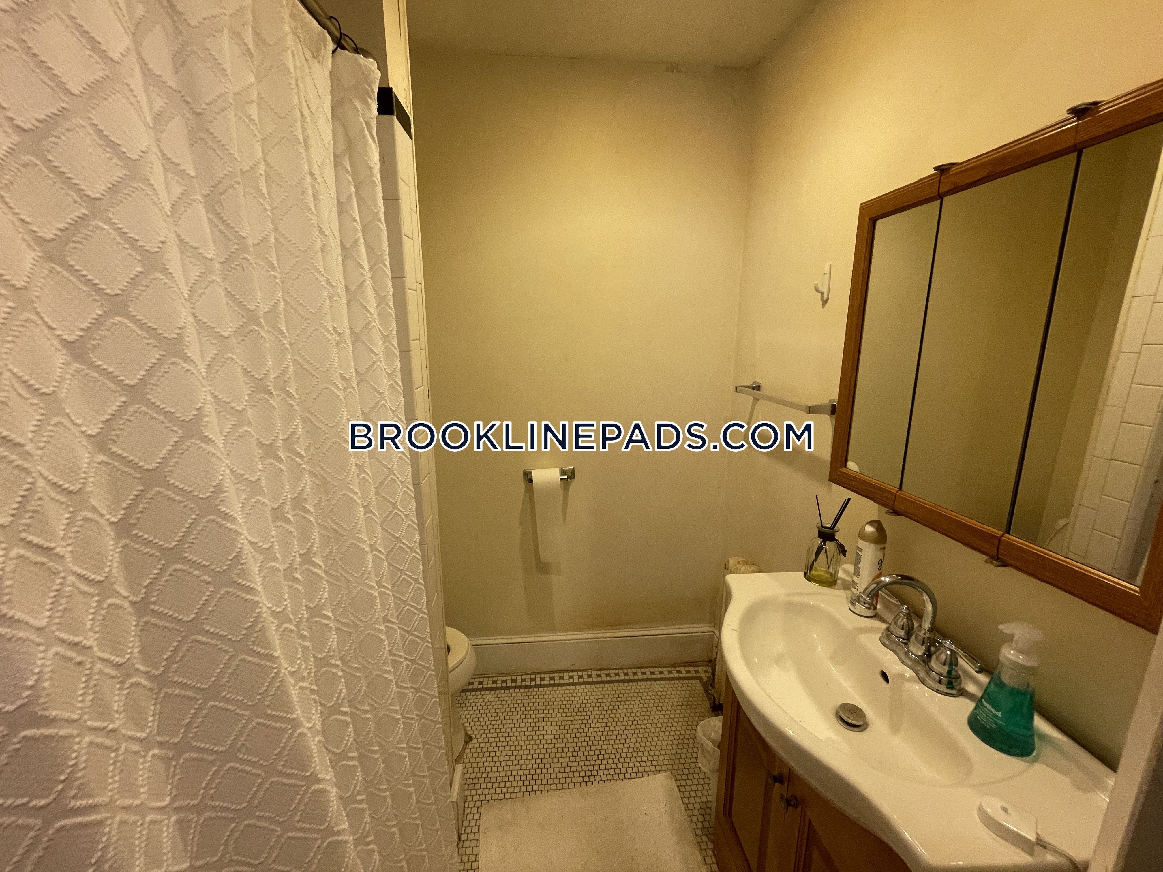 316 Saint Paul St, Coolidge Corner