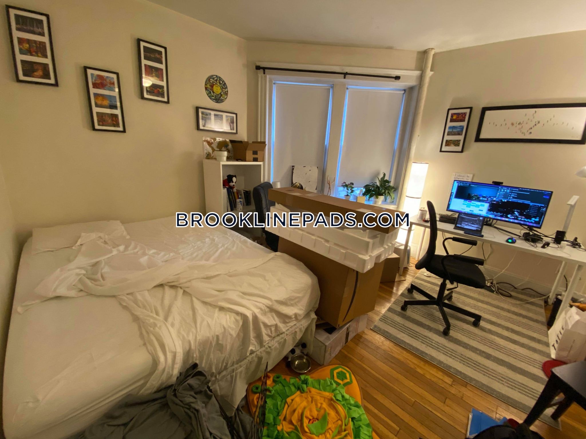 54 Egmont St, Longwood