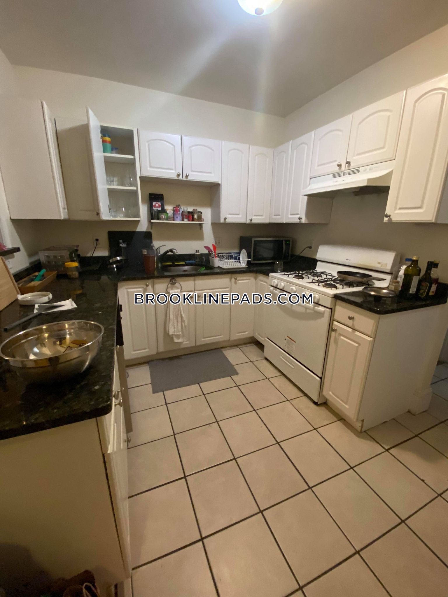 54 Egmont St, Longwood