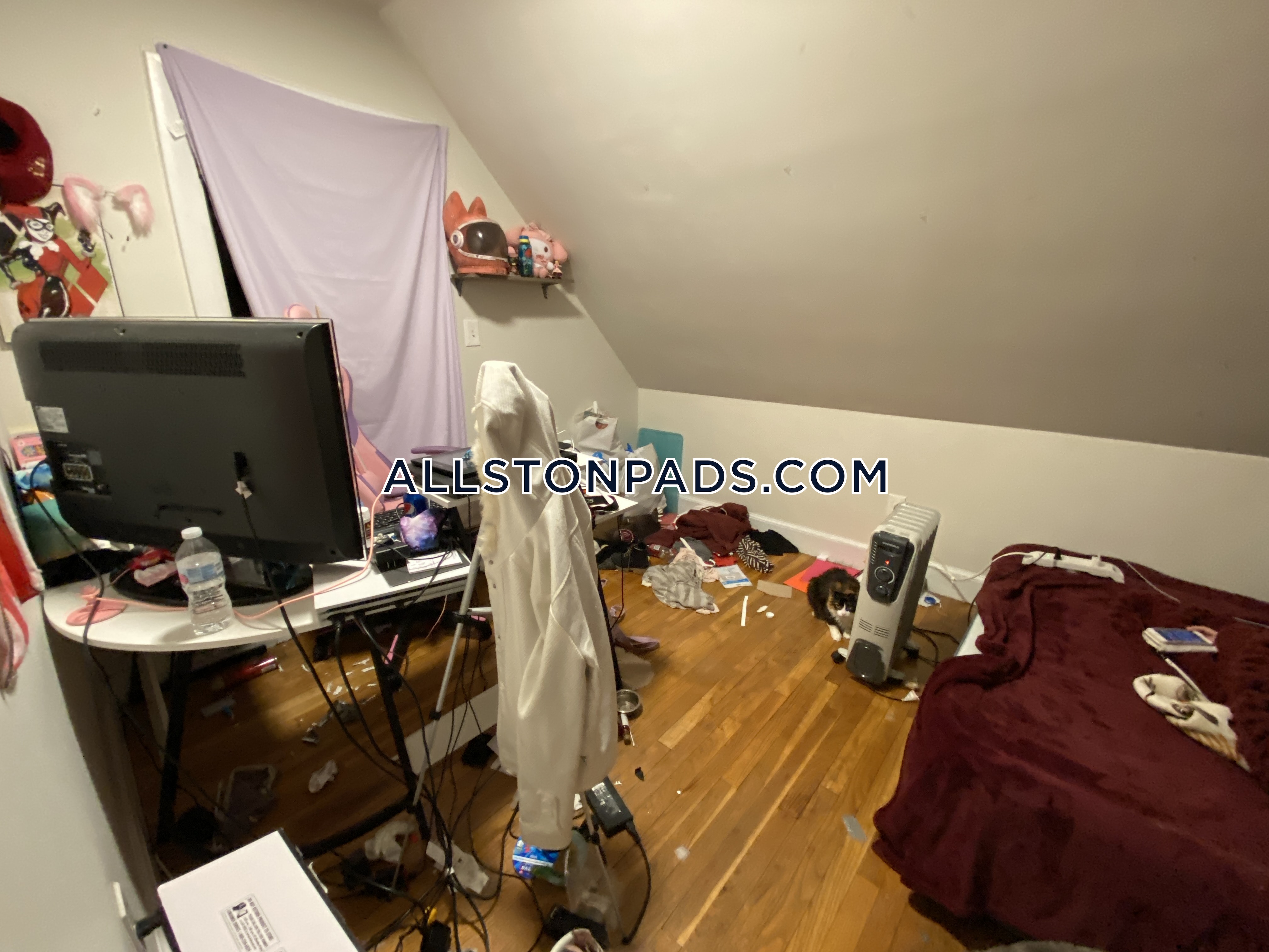 18 Greylock Rd, Allston