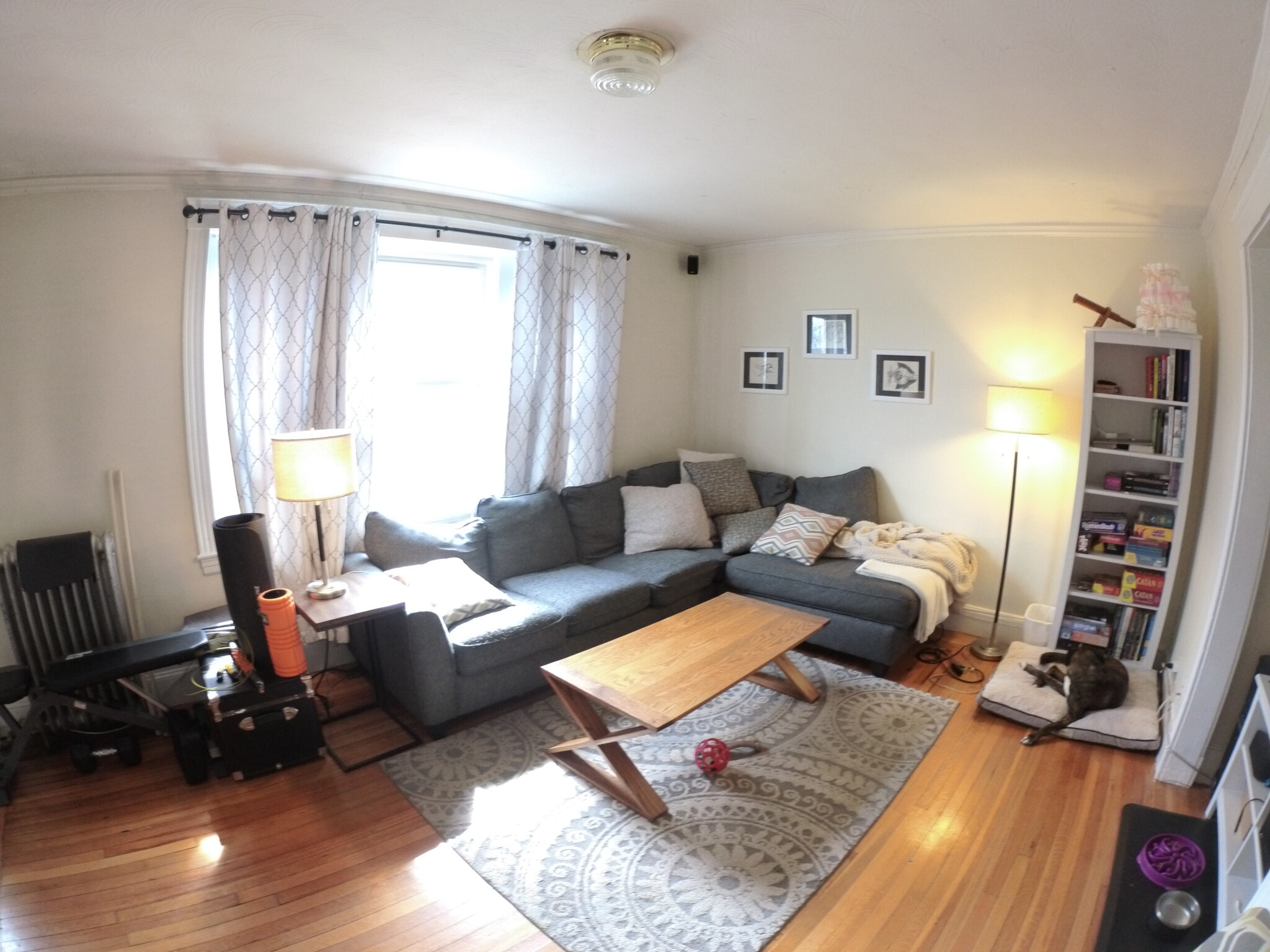 1615 Commonwealth Ave, Brighton