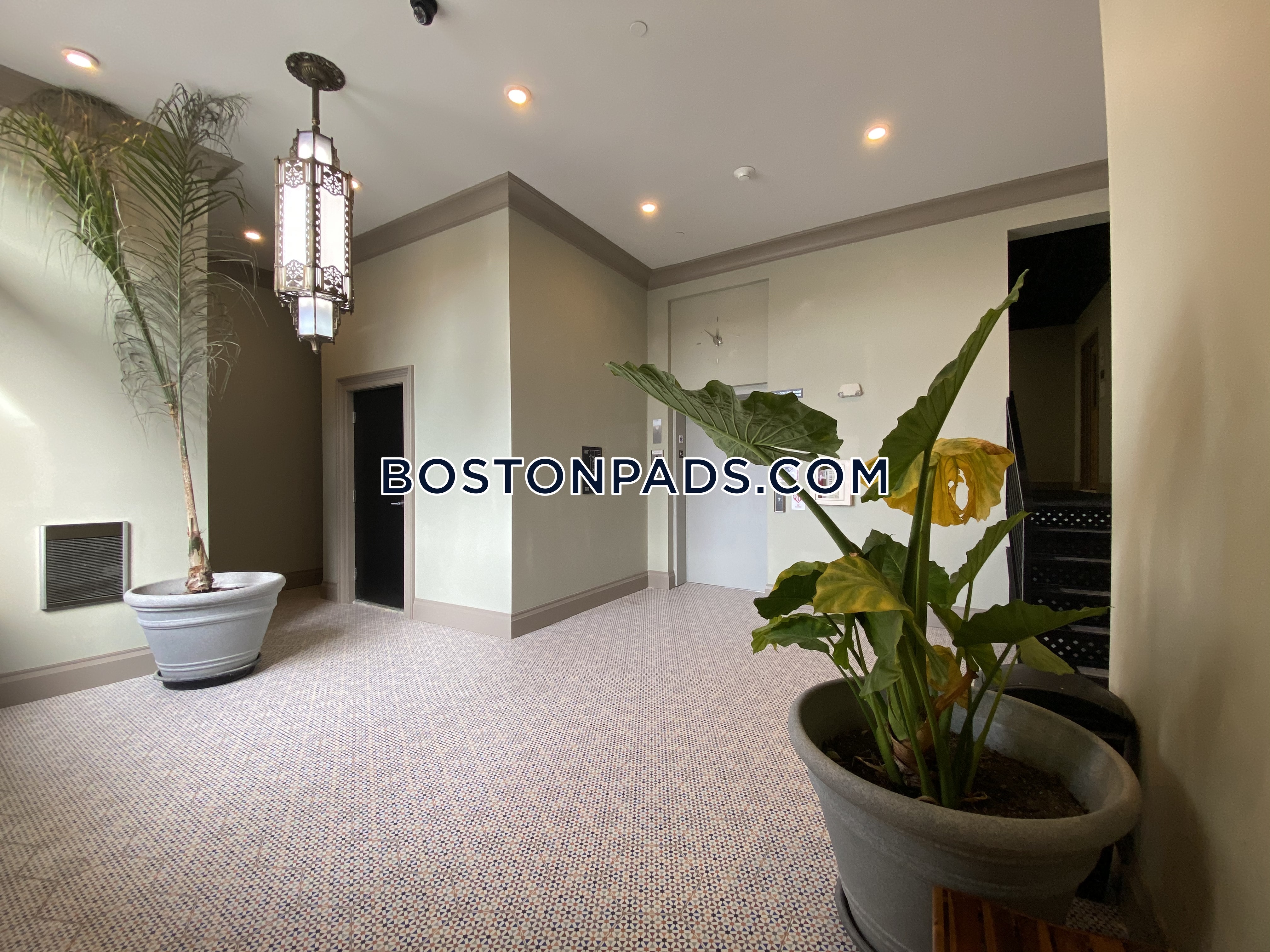 1258 Massachusetts Ave, Dorchester