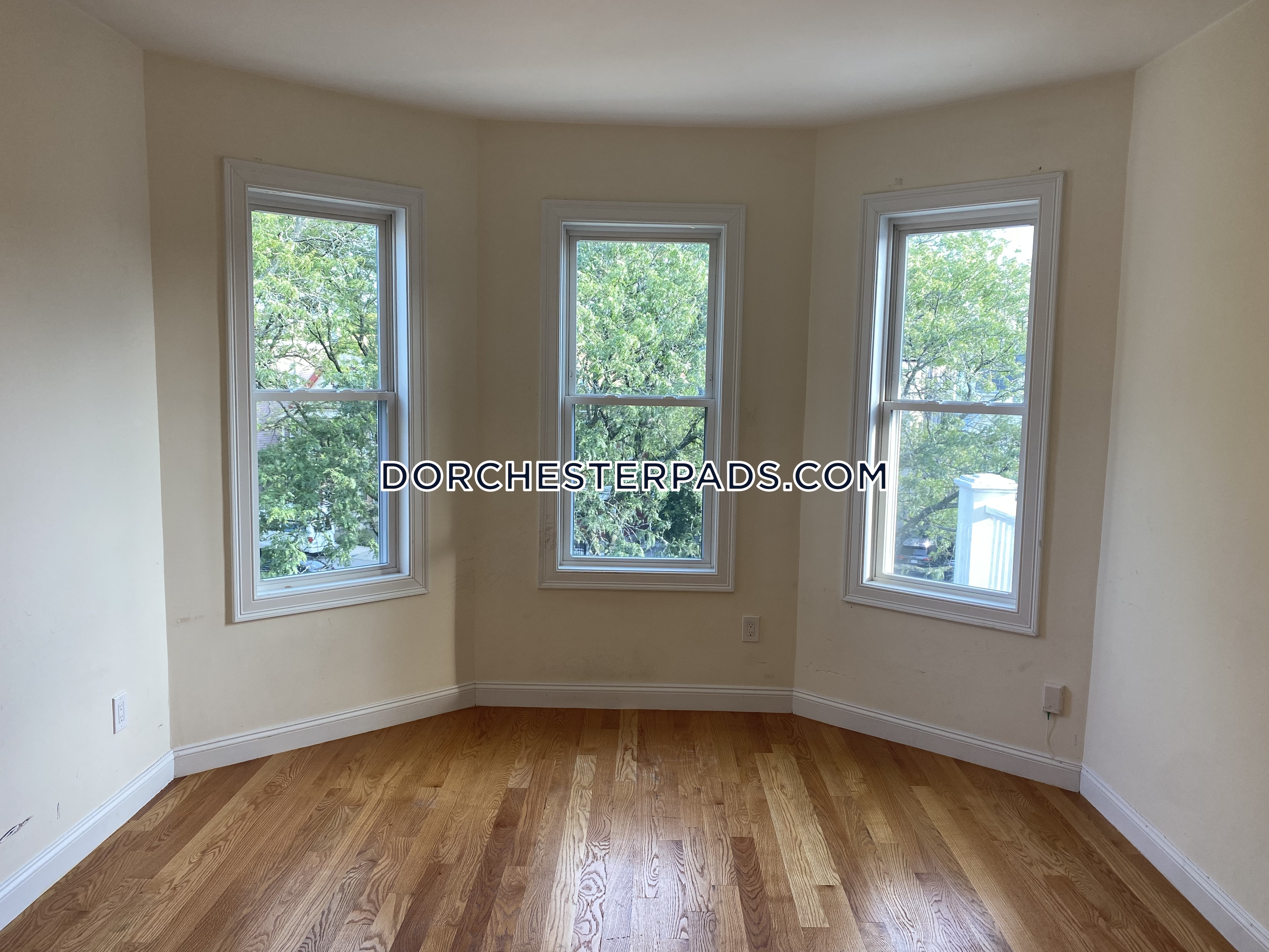 31 Edison Grn, Dorchester