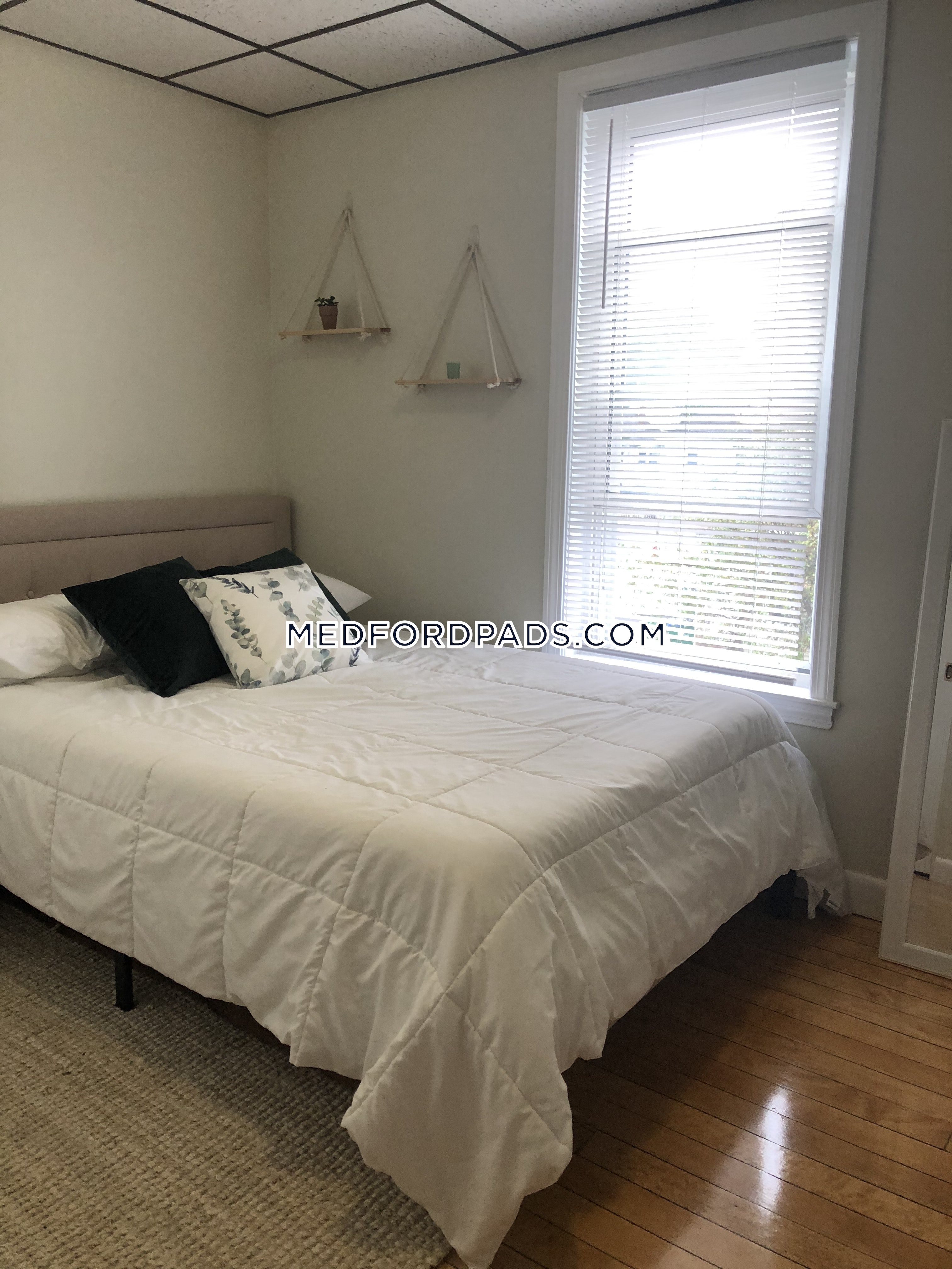 77 Lynman Ave, Tufts University