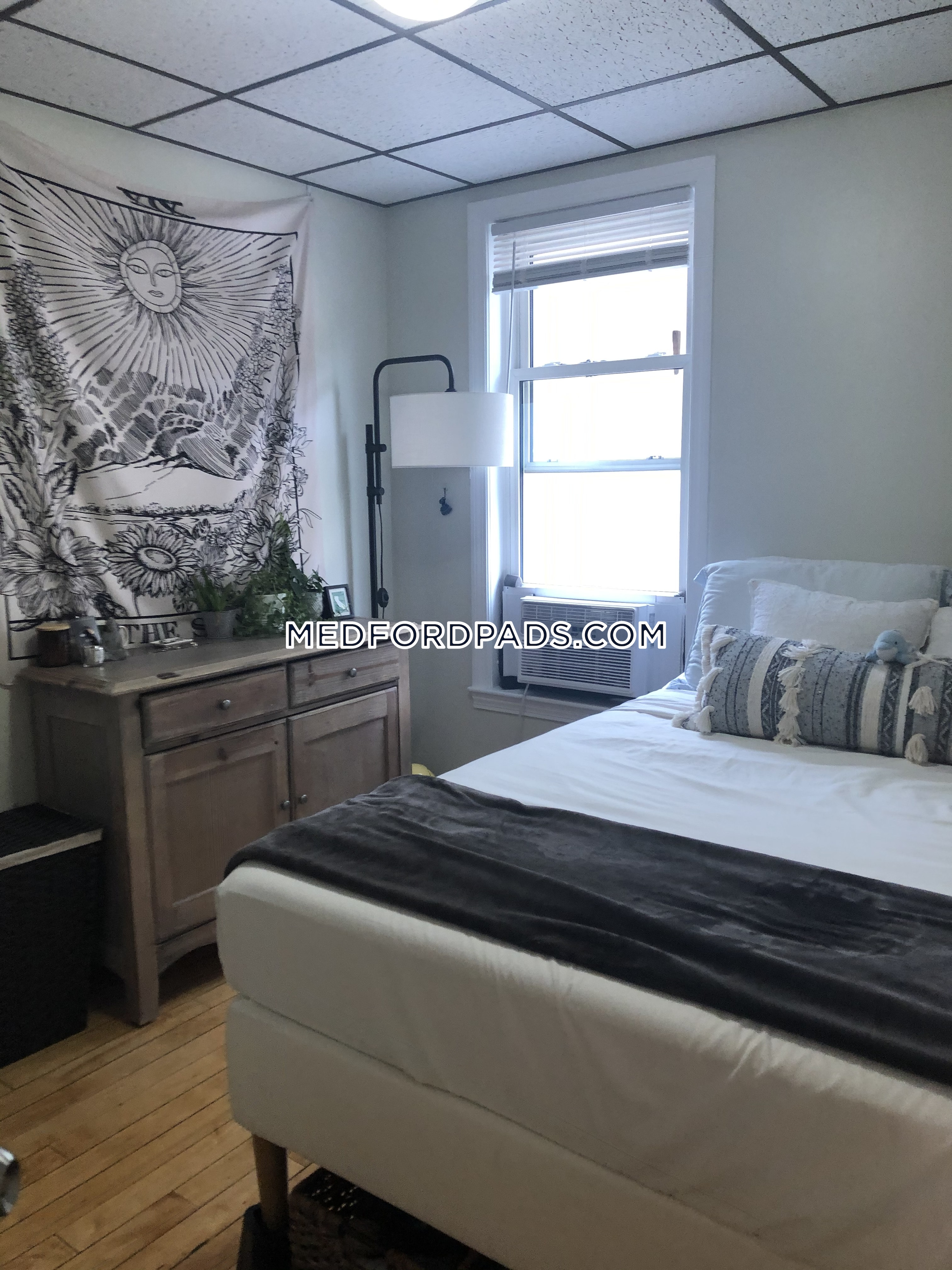 77 Lynman Ave, Tufts University