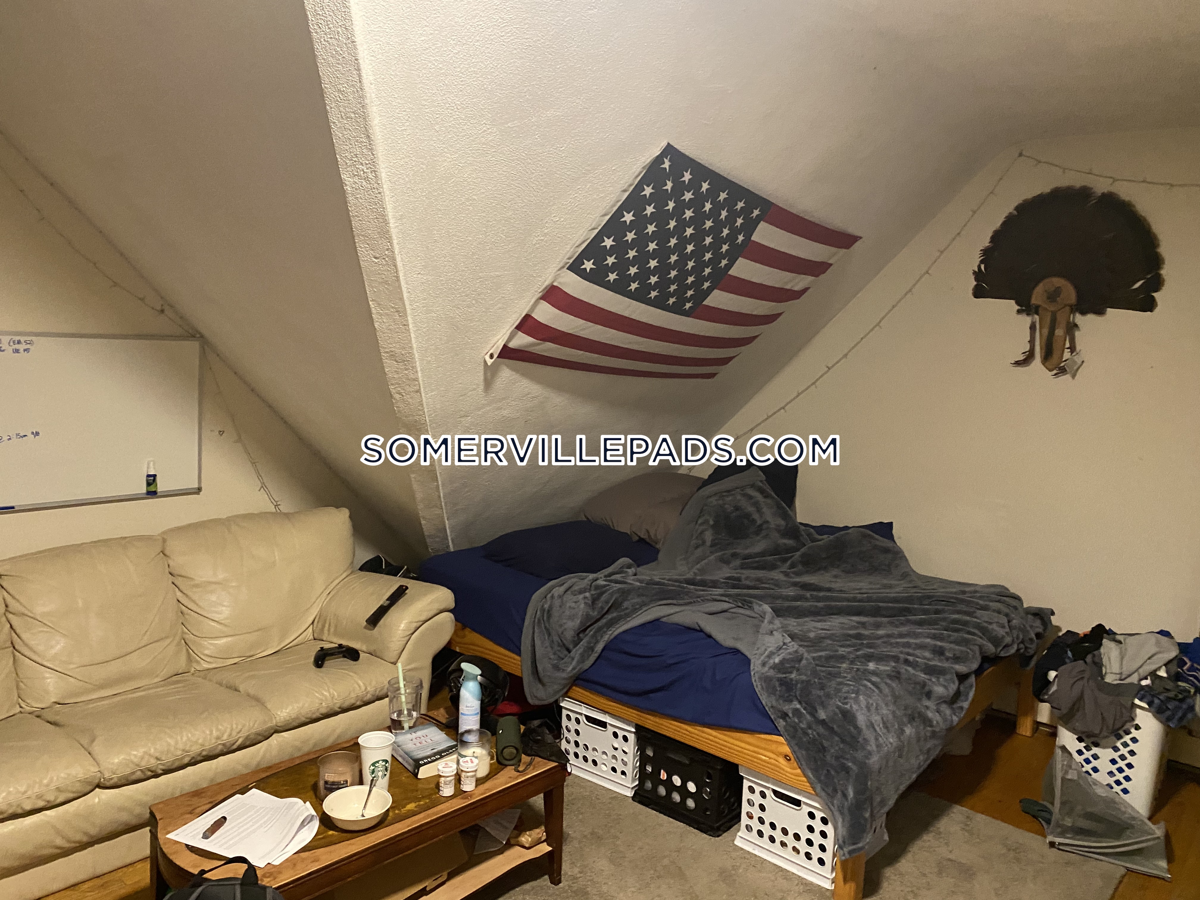 167 College Ave, Davis Square