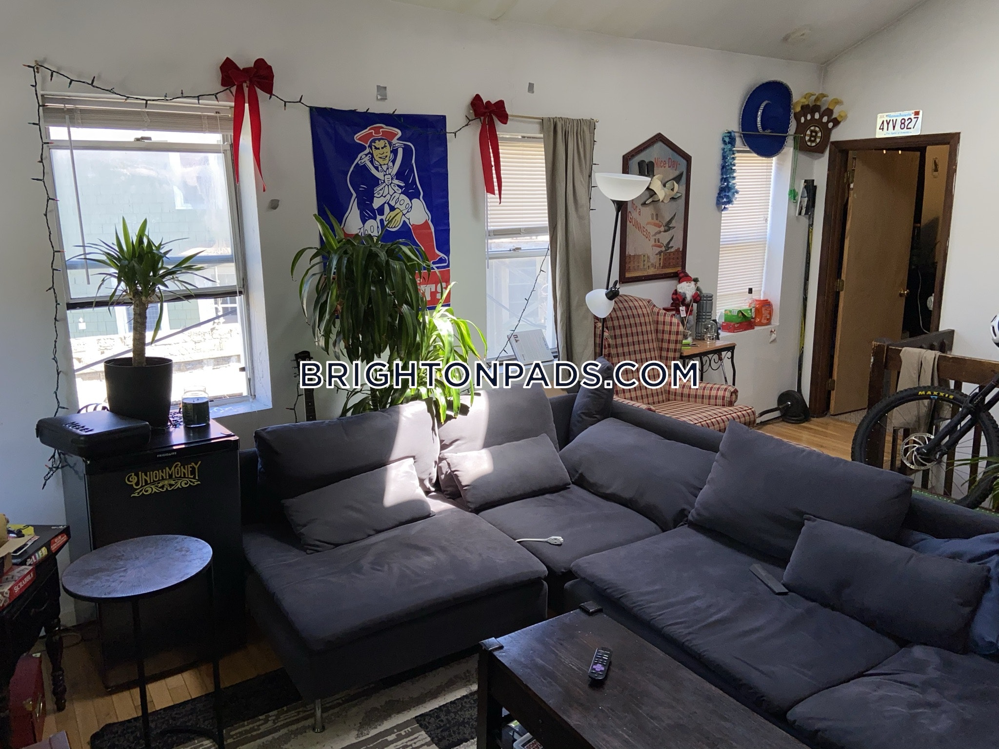 6 Shepard St, Brighton