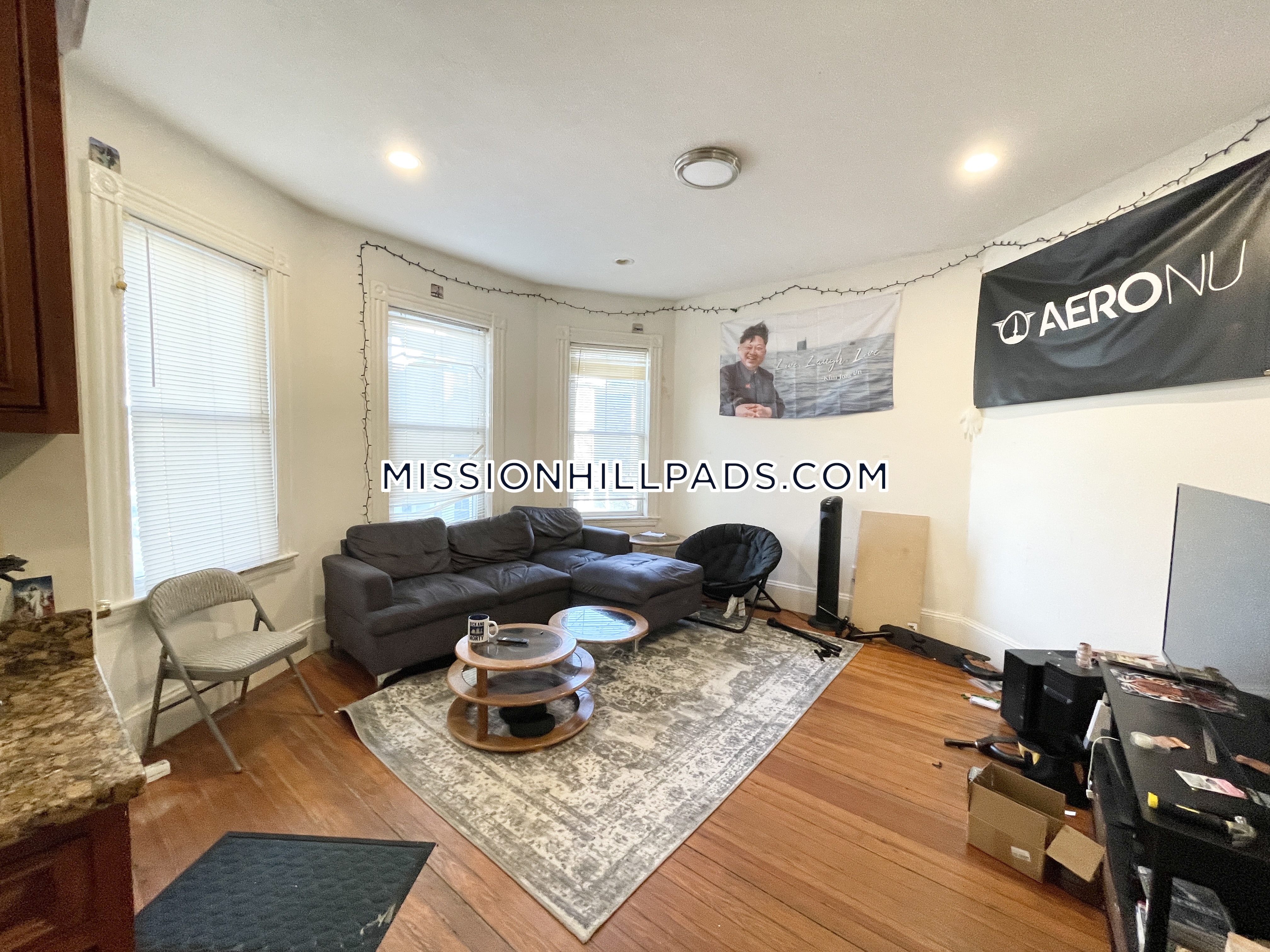 112.1 Hillside St, Mission Hill