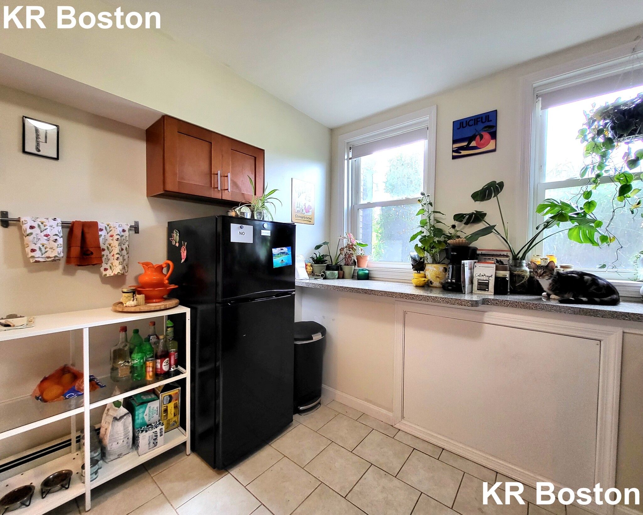 1640 Commonwealth Ave, Brighton