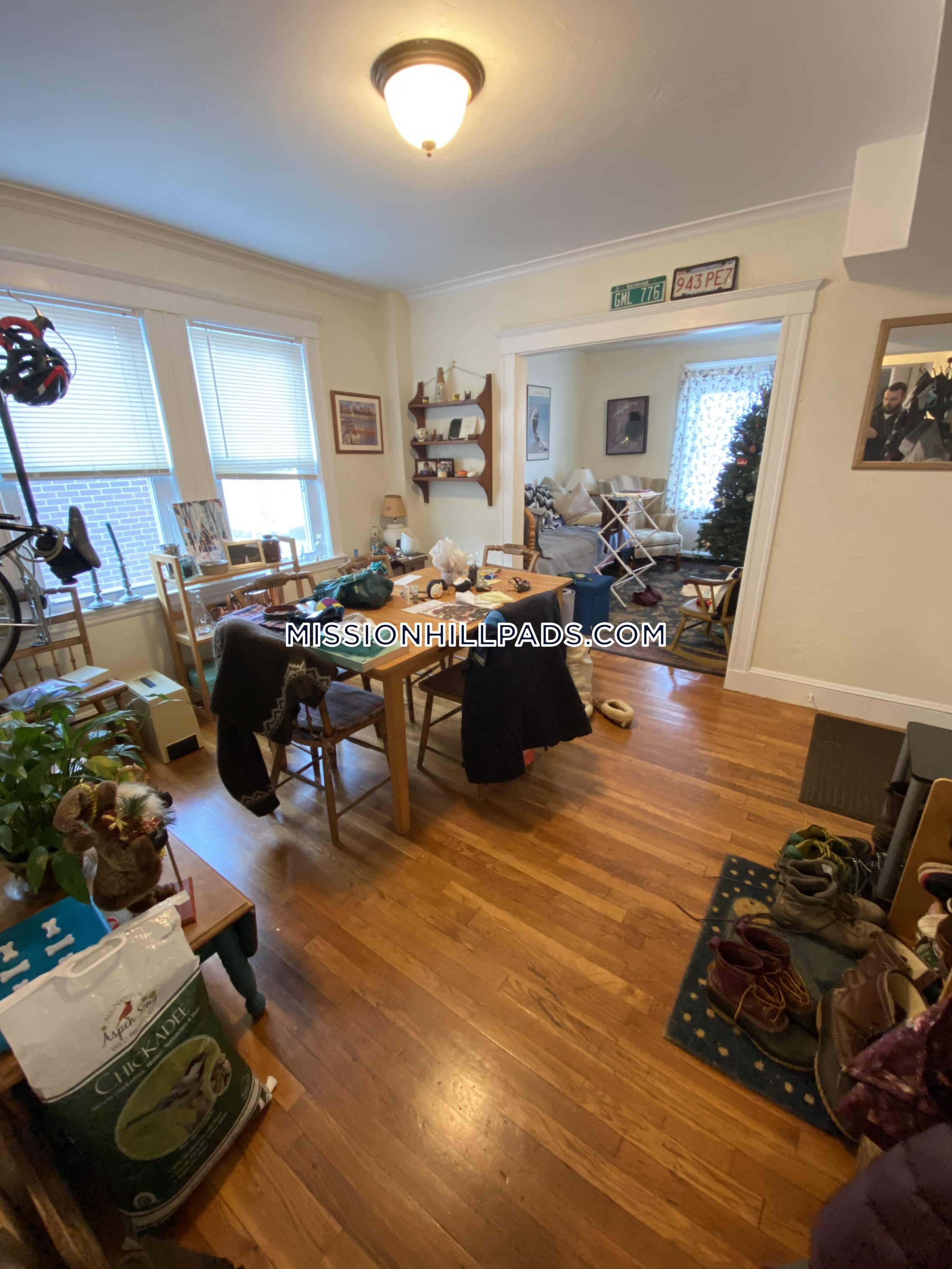 20 Sachem St, Mission Hill