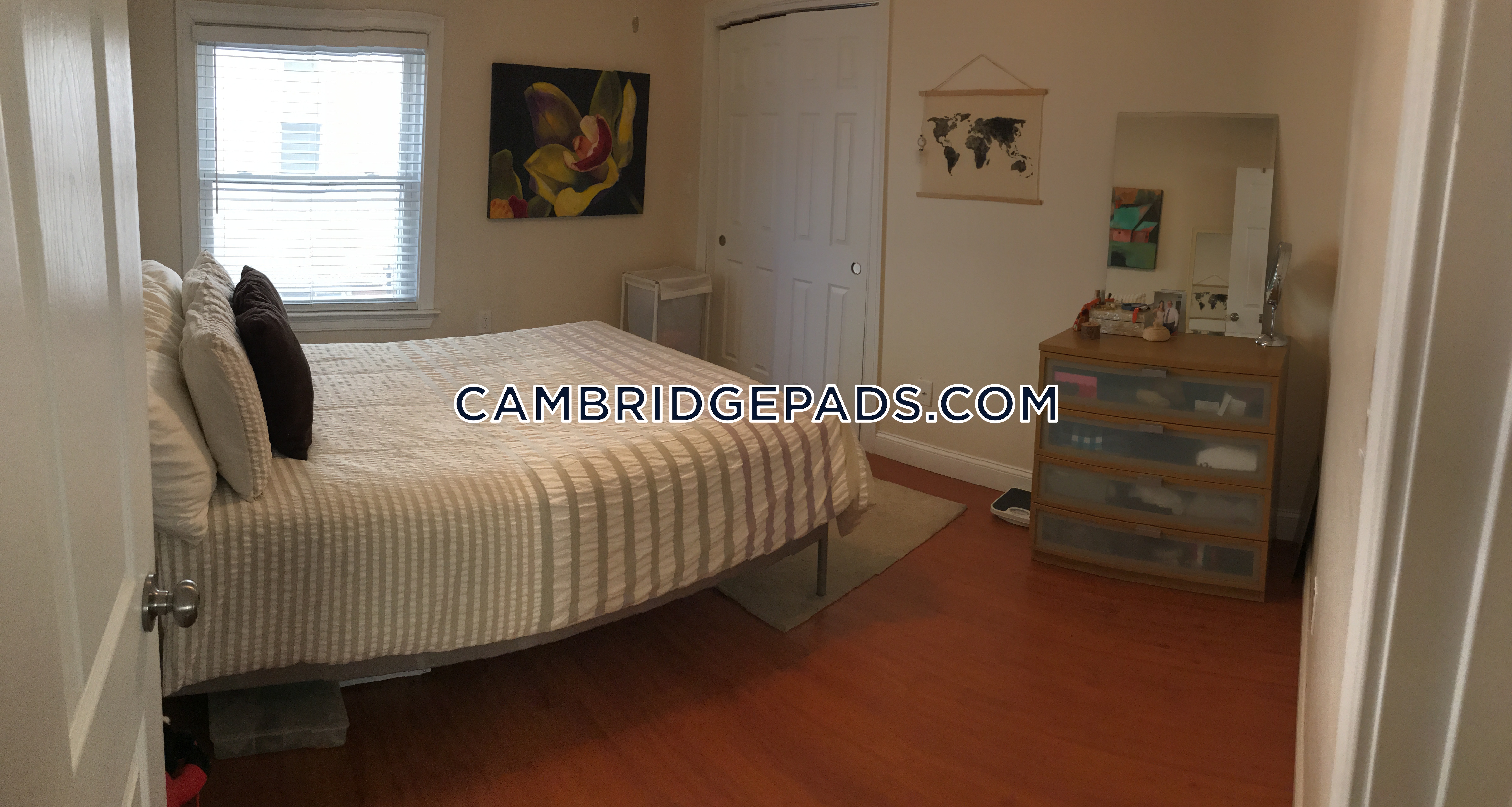 307 Cardinal Medeiros Ave, Kendall Square