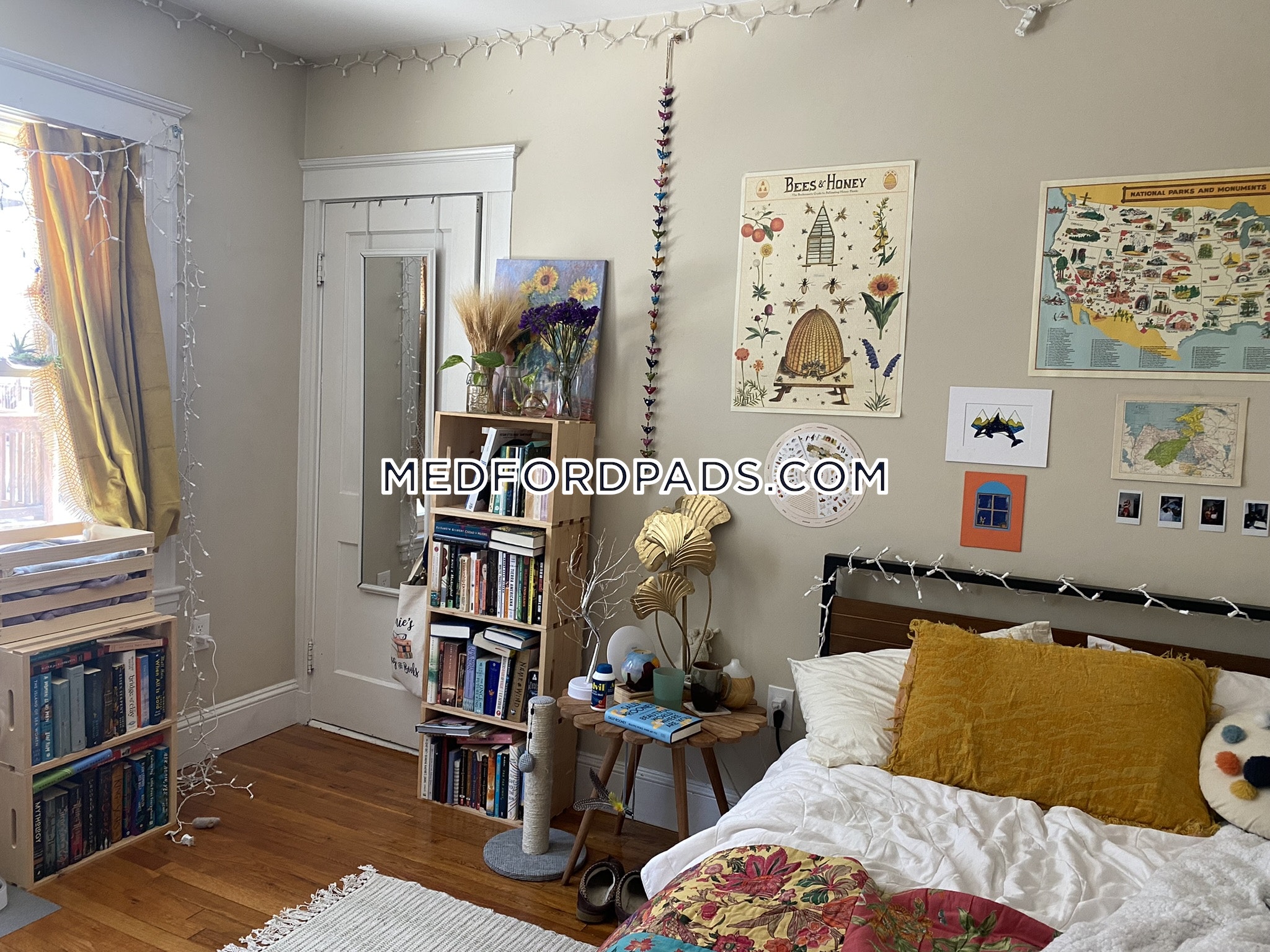 62 Frederick Ave, Tufts University