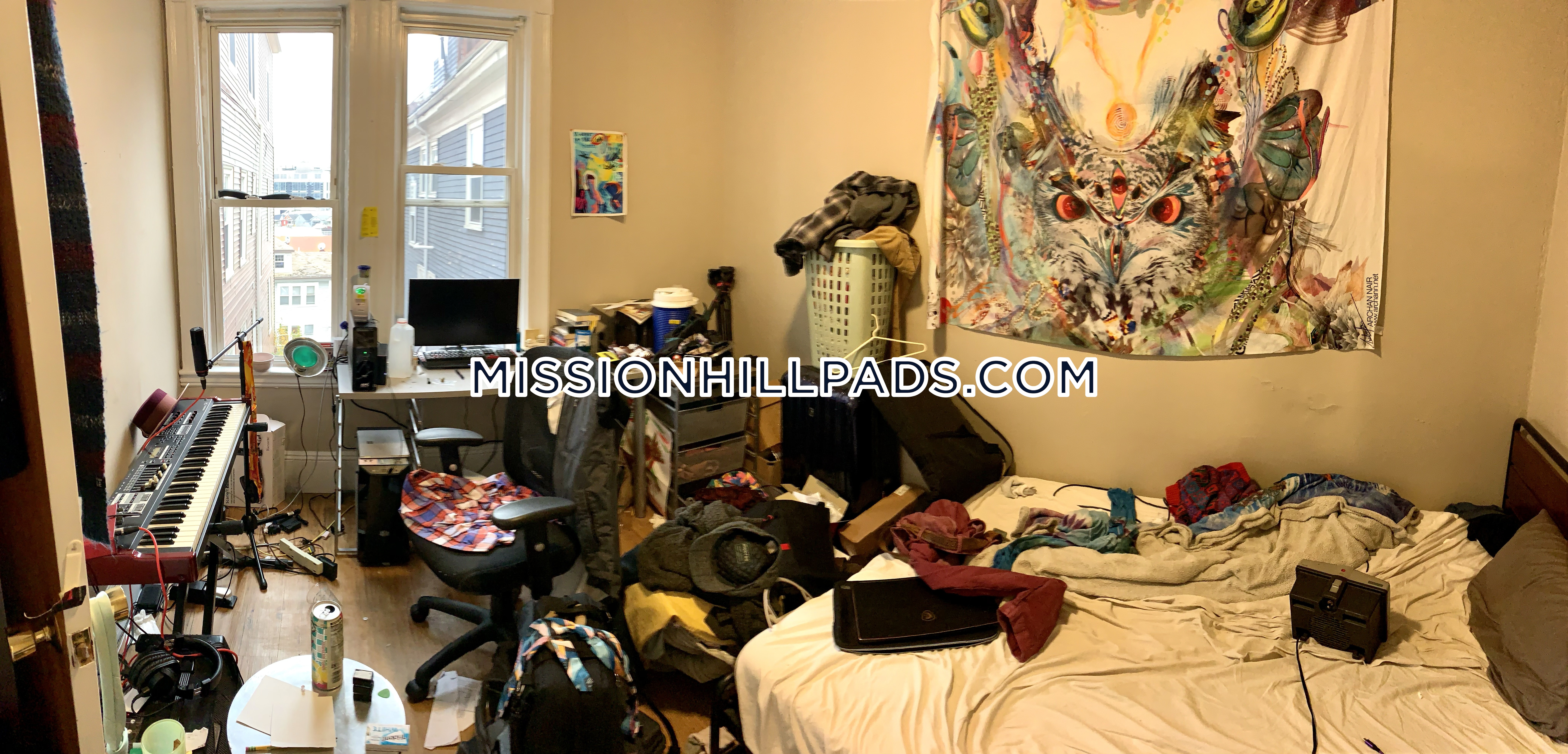 6 Sunset St, Mission Hill