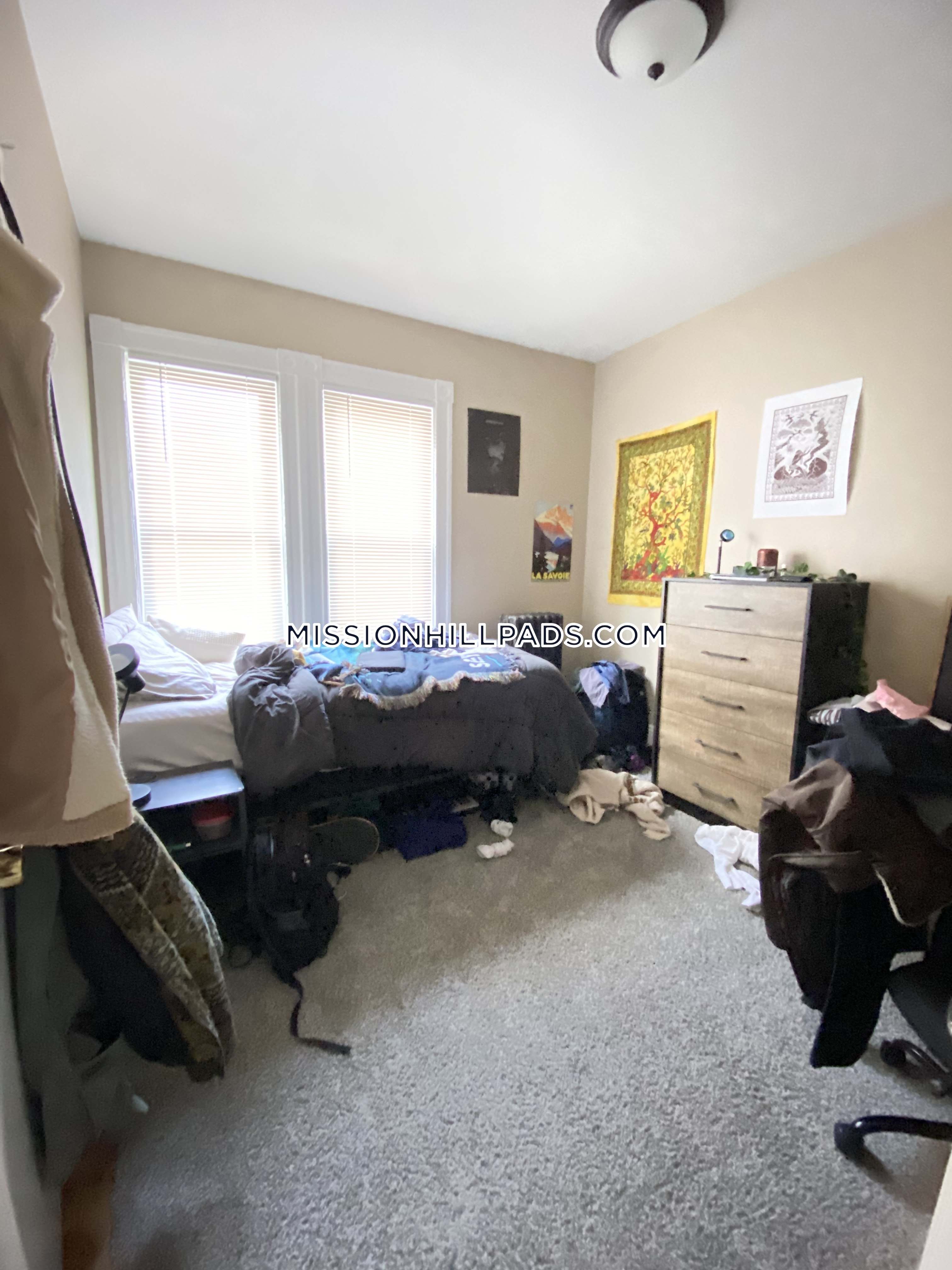 6 Sunset St, Mission Hill