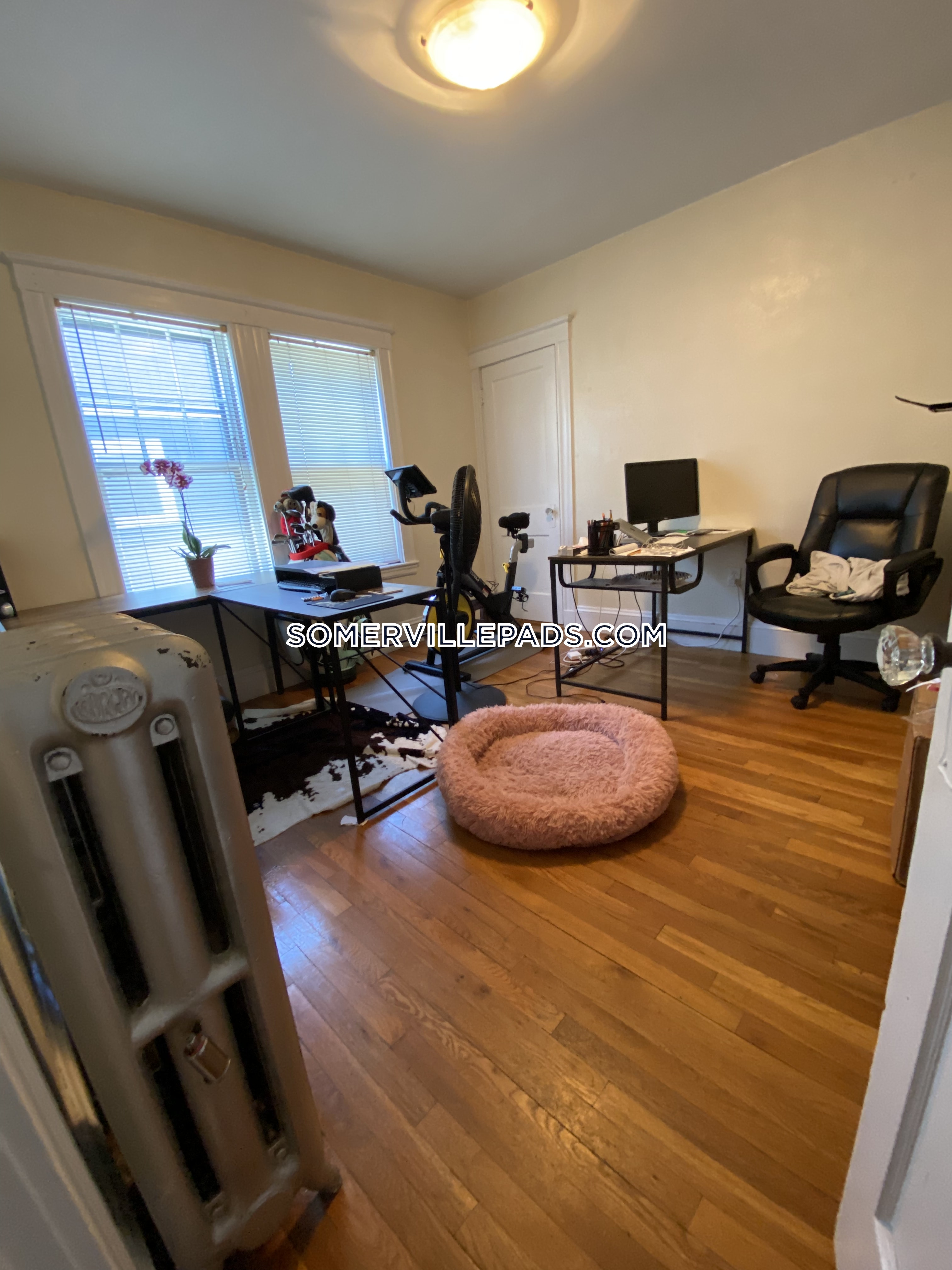 20 Morrison Ave, Davis Square